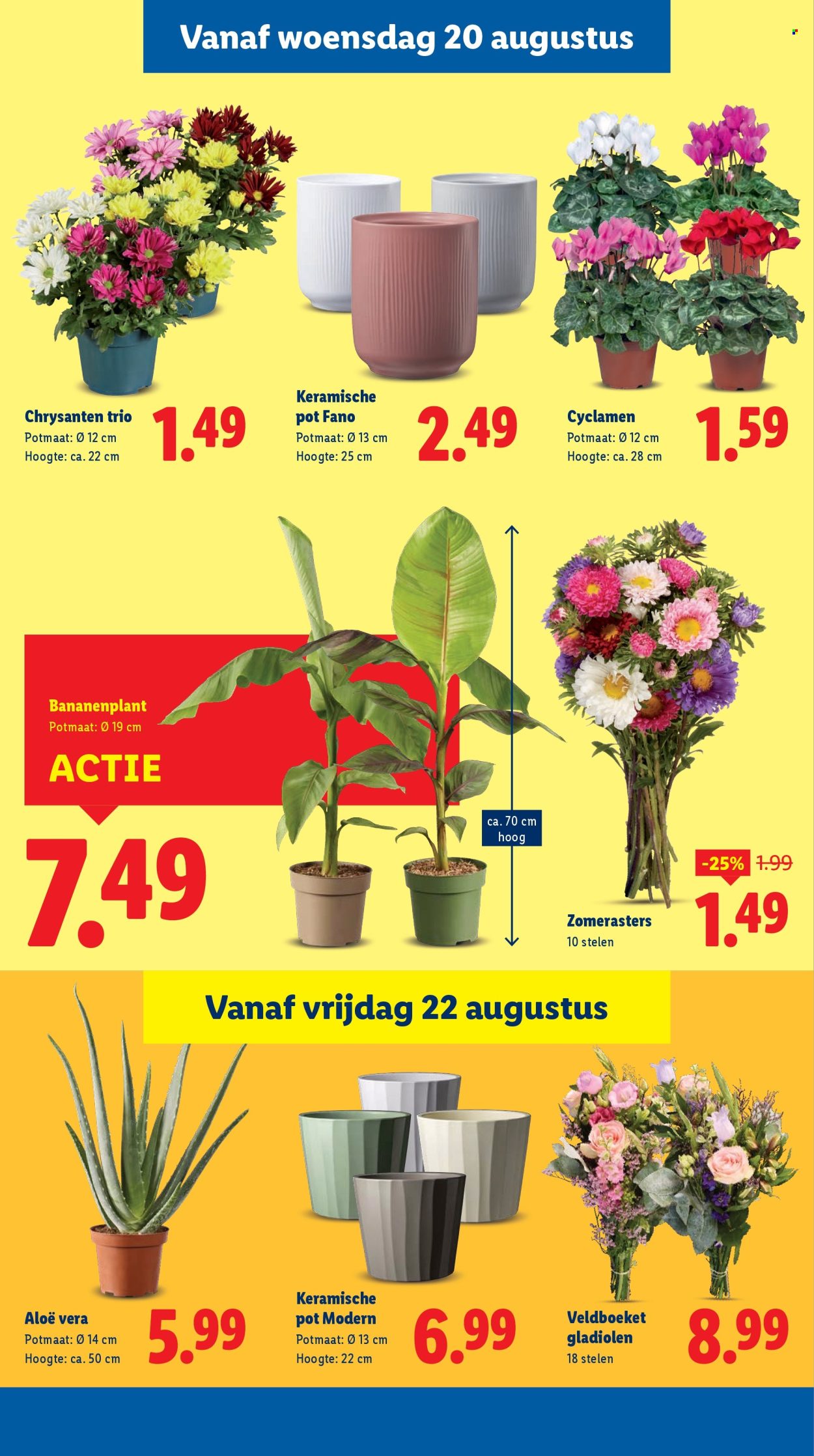 Lidl-aanbieding - 18-8-2025 - 24-8-2025. Pagina 16