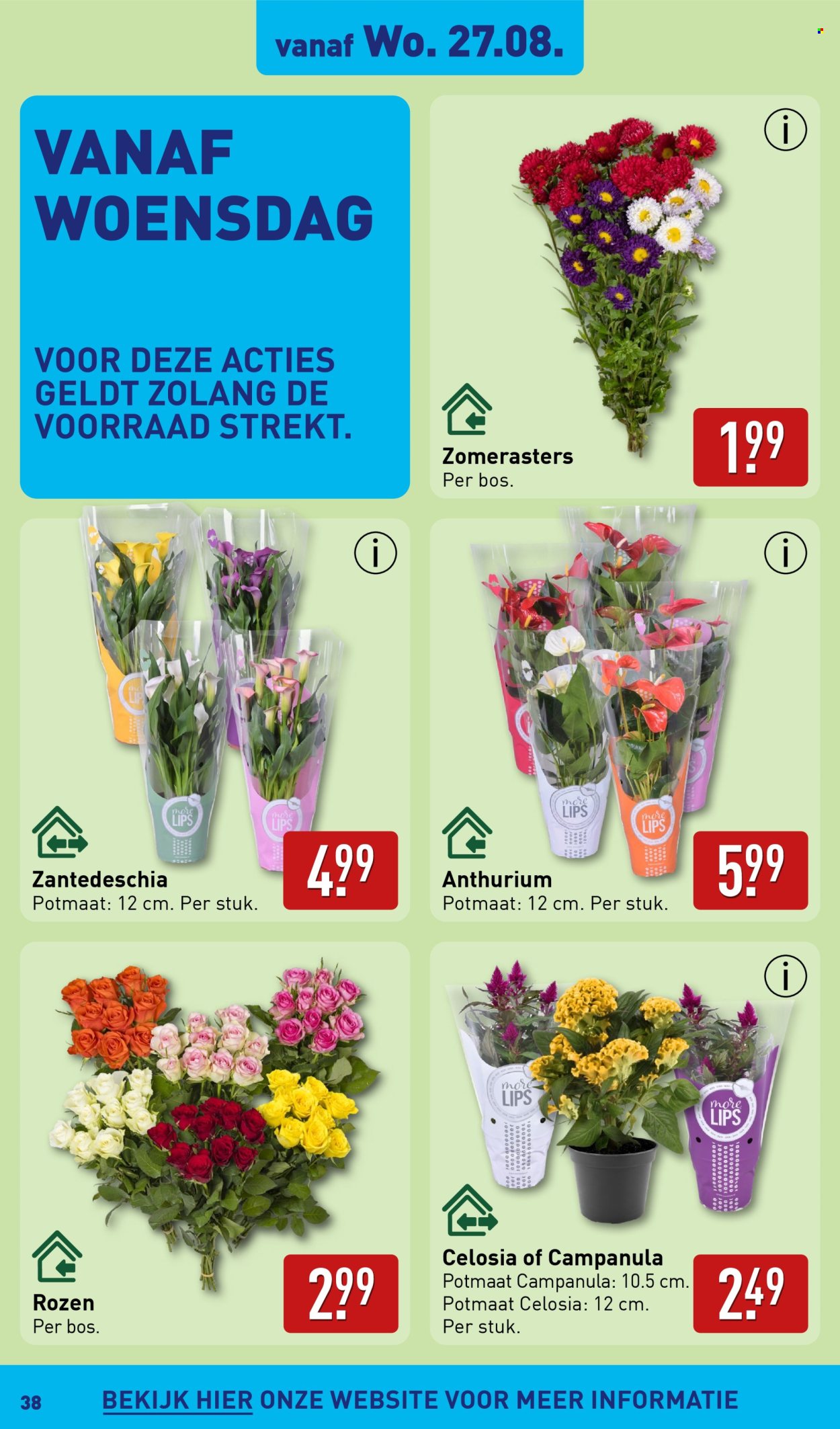 Aldi-aanbieding - 25-8-2025 - 31-8-2025. Pagina 38