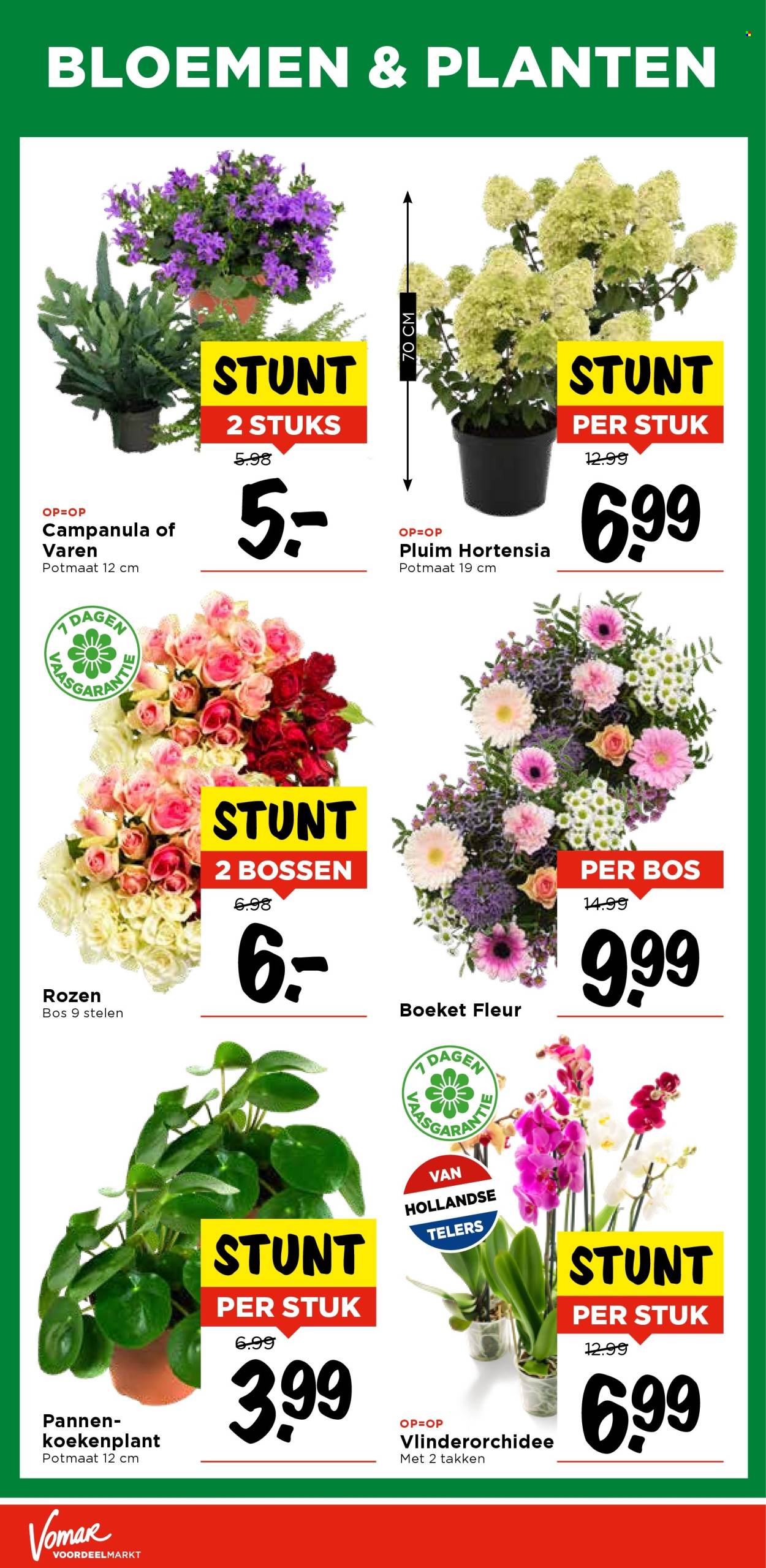 Vomar-aanbieding - 21-8-2025 - 23-8-2025. Pagina 37