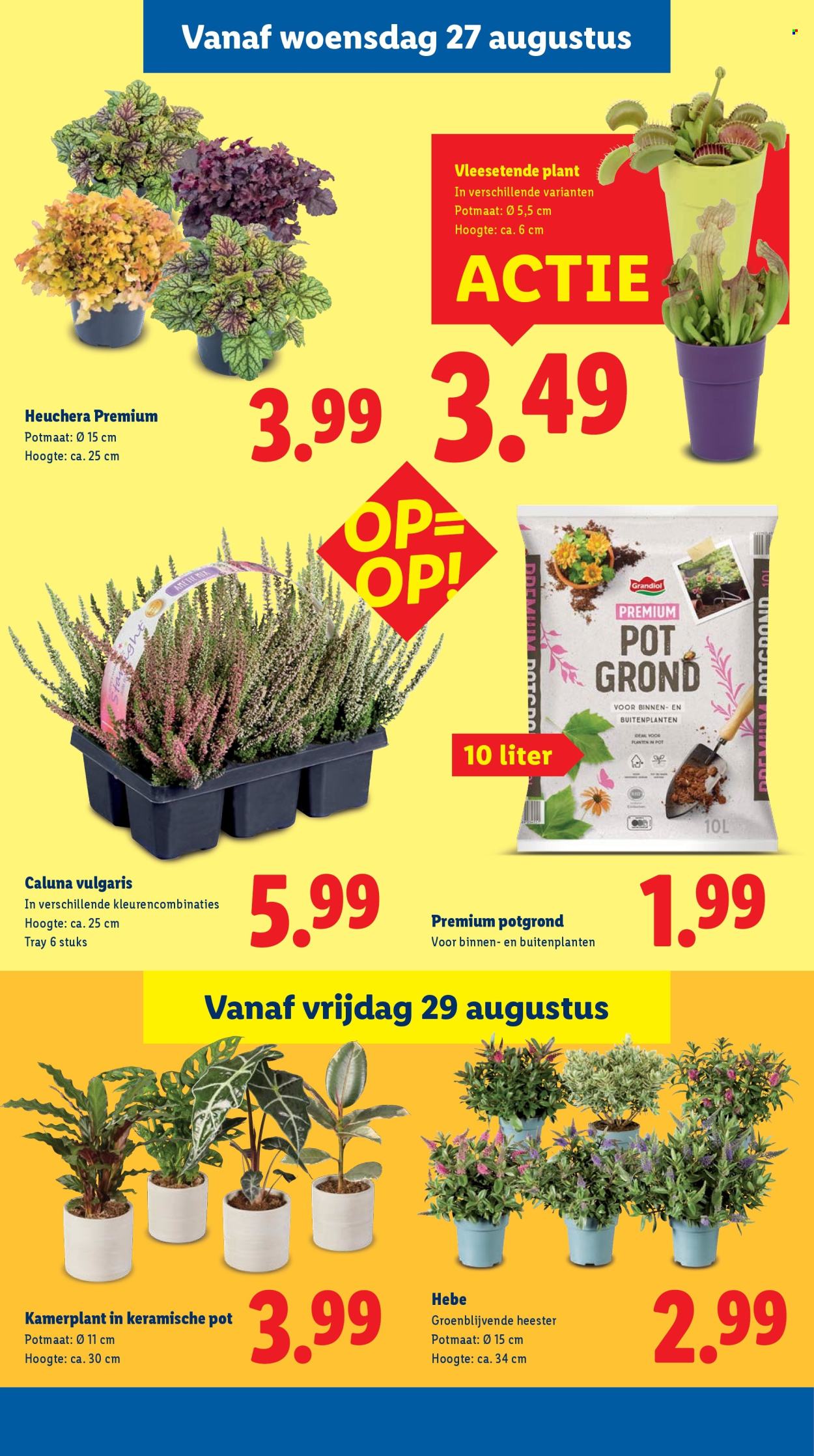 Lidl-aanbieding - 25-8-2025 - 31-8-2025. Pagina 19