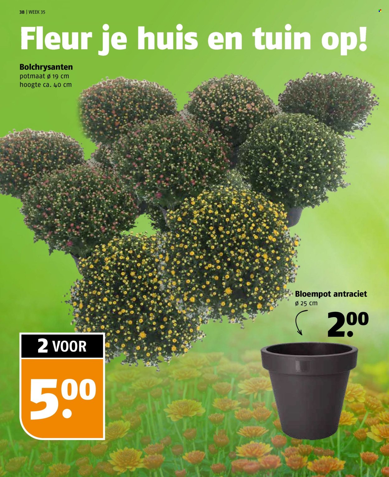 Poiesz-aanbieding - 24-8-2025 - 30-8-2025. Pagina 38