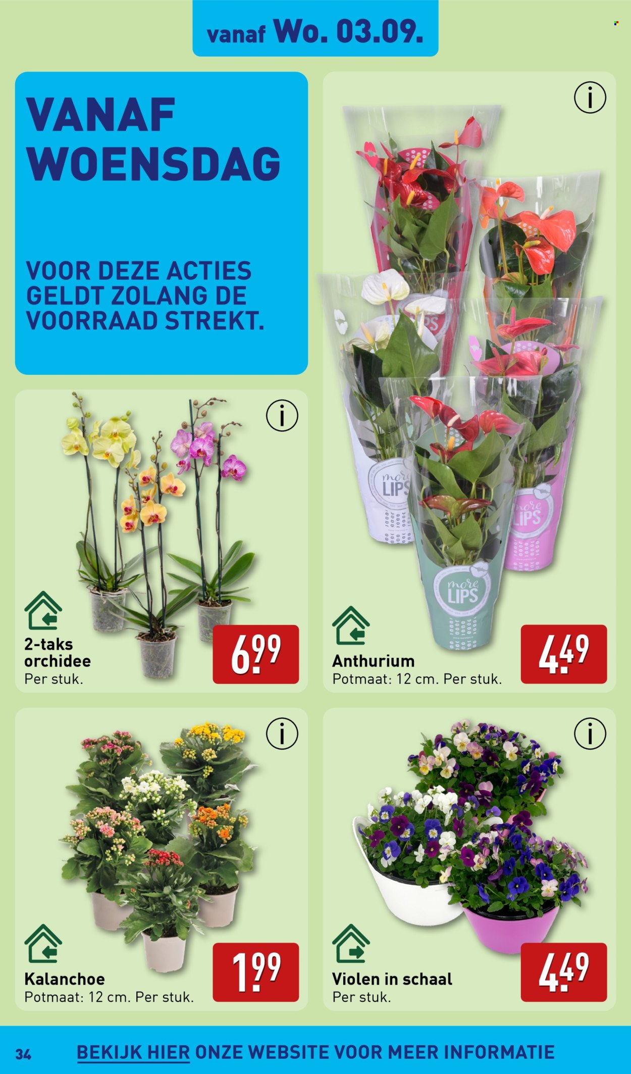 Aldi-aanbieding - 1-9-2025 - 7-9-2025. Pagina 34