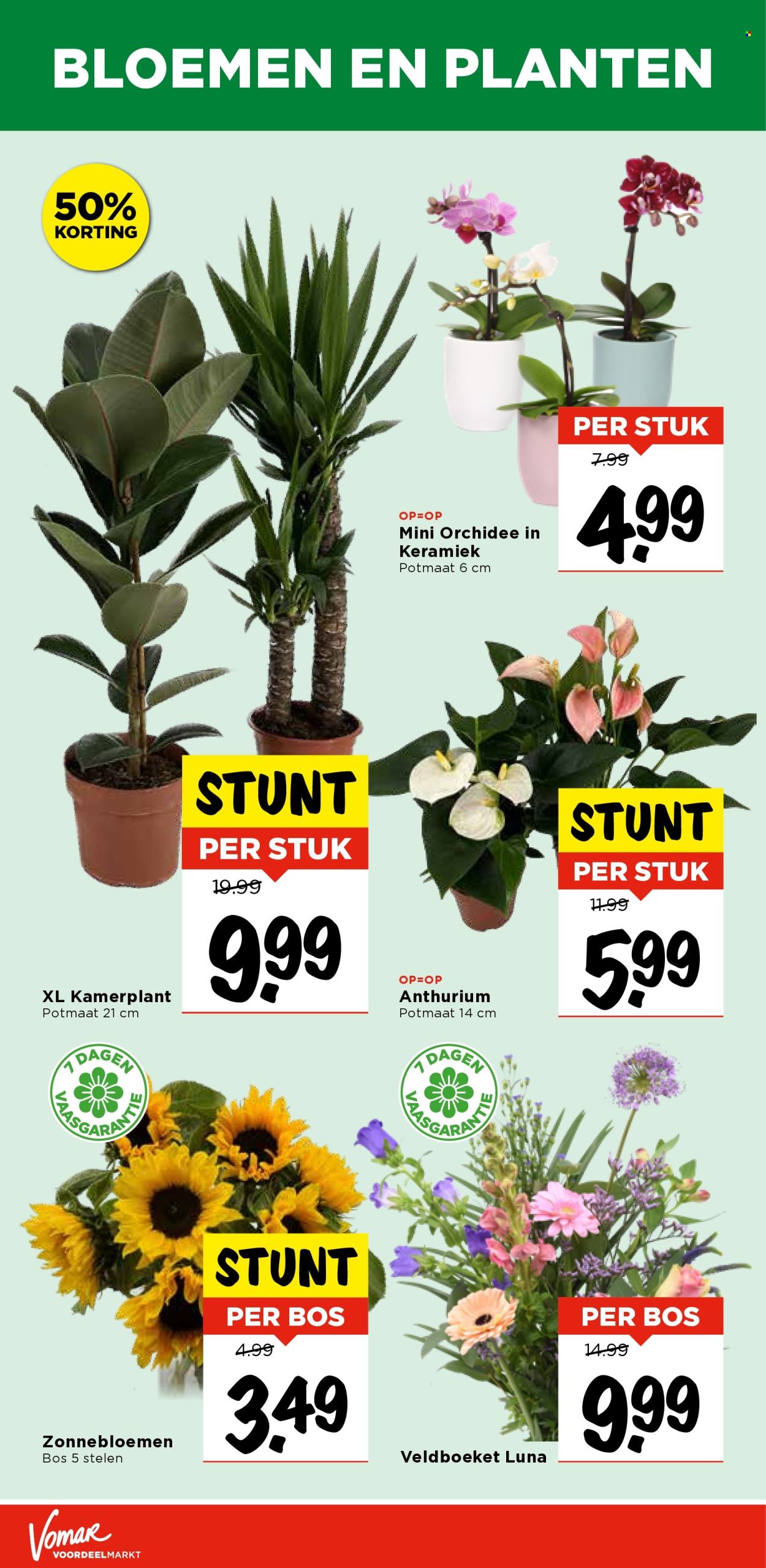 Vomar-aanbieding - 28-8-2025 - 30-8-2025. Pagina 41
