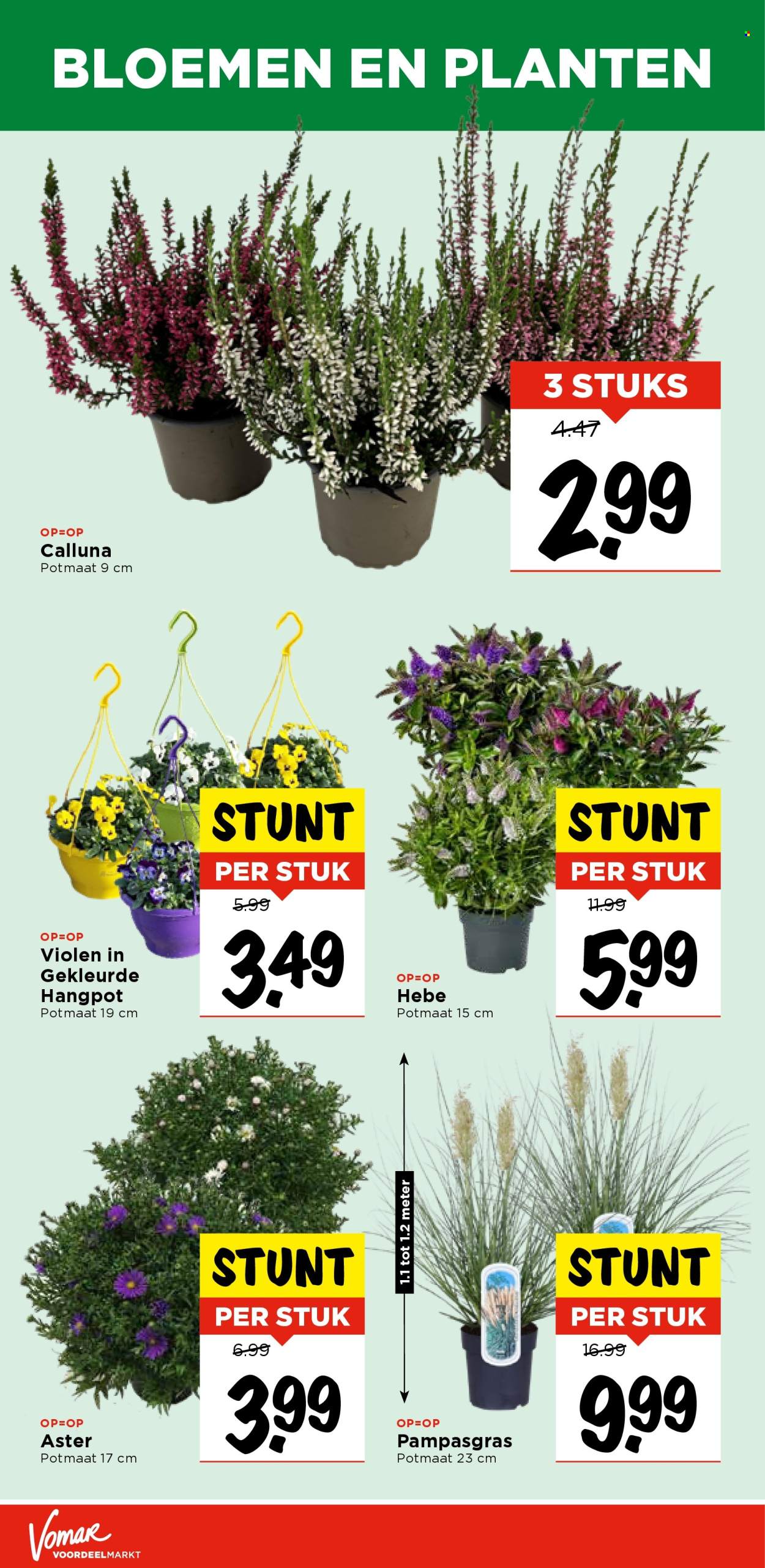 Vomar-aanbieding - 28-8-2025 - 30-8-2025. Pagina 42
