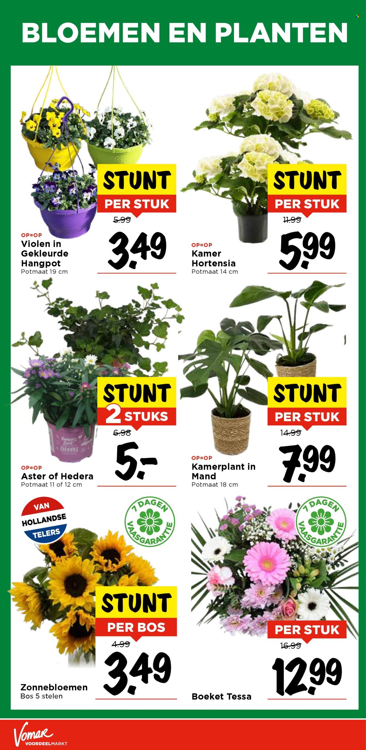 Vomar-aanbieding - 31-8-2025 - 6-9-2025. Pagina 34