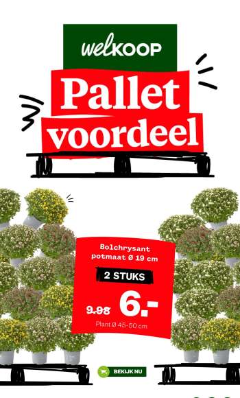 Welkoop-aanbieding - 25-8-2025 - 7-9-2025.