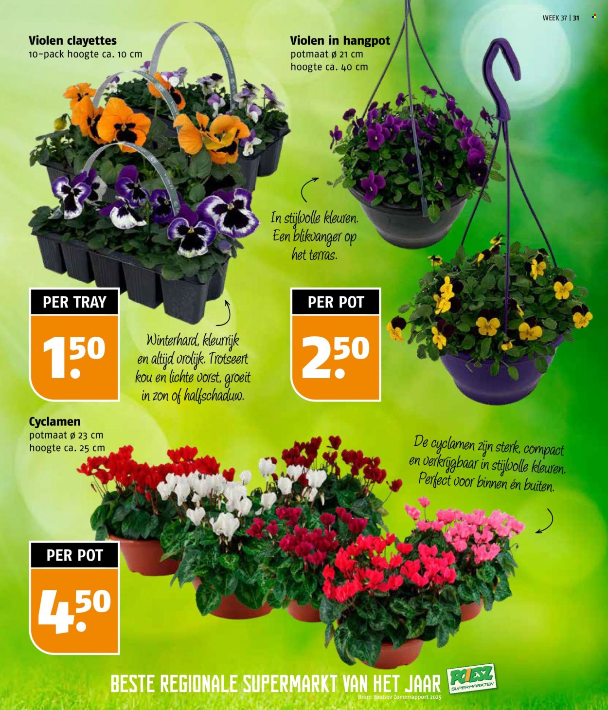 Poiesz-aanbieding - 7-9-2025 - 13-9-2025. Pagina 31