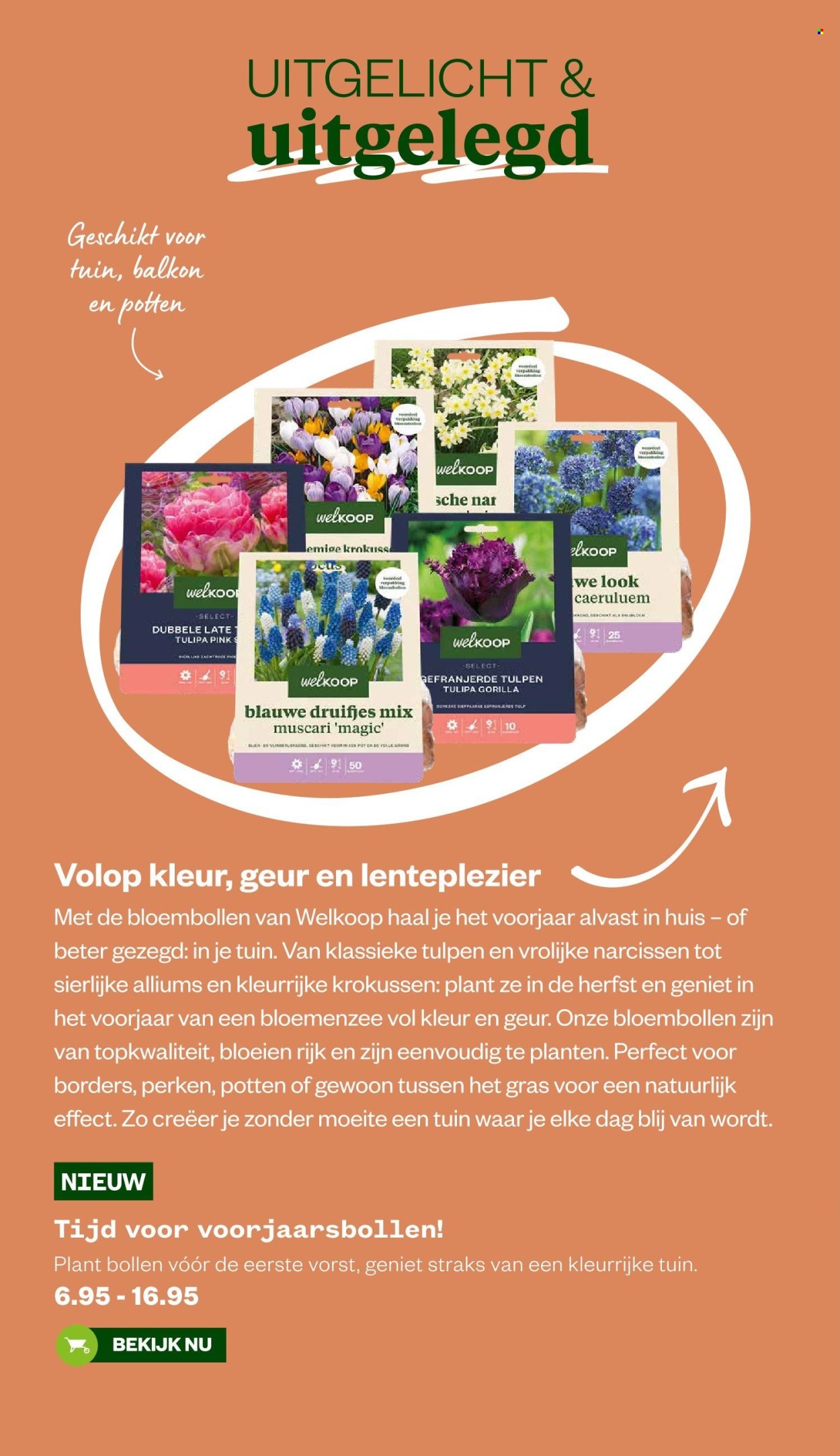 Welkoop-aanbieding - 8-9-2025 - 21-9-2025. Pagina 4