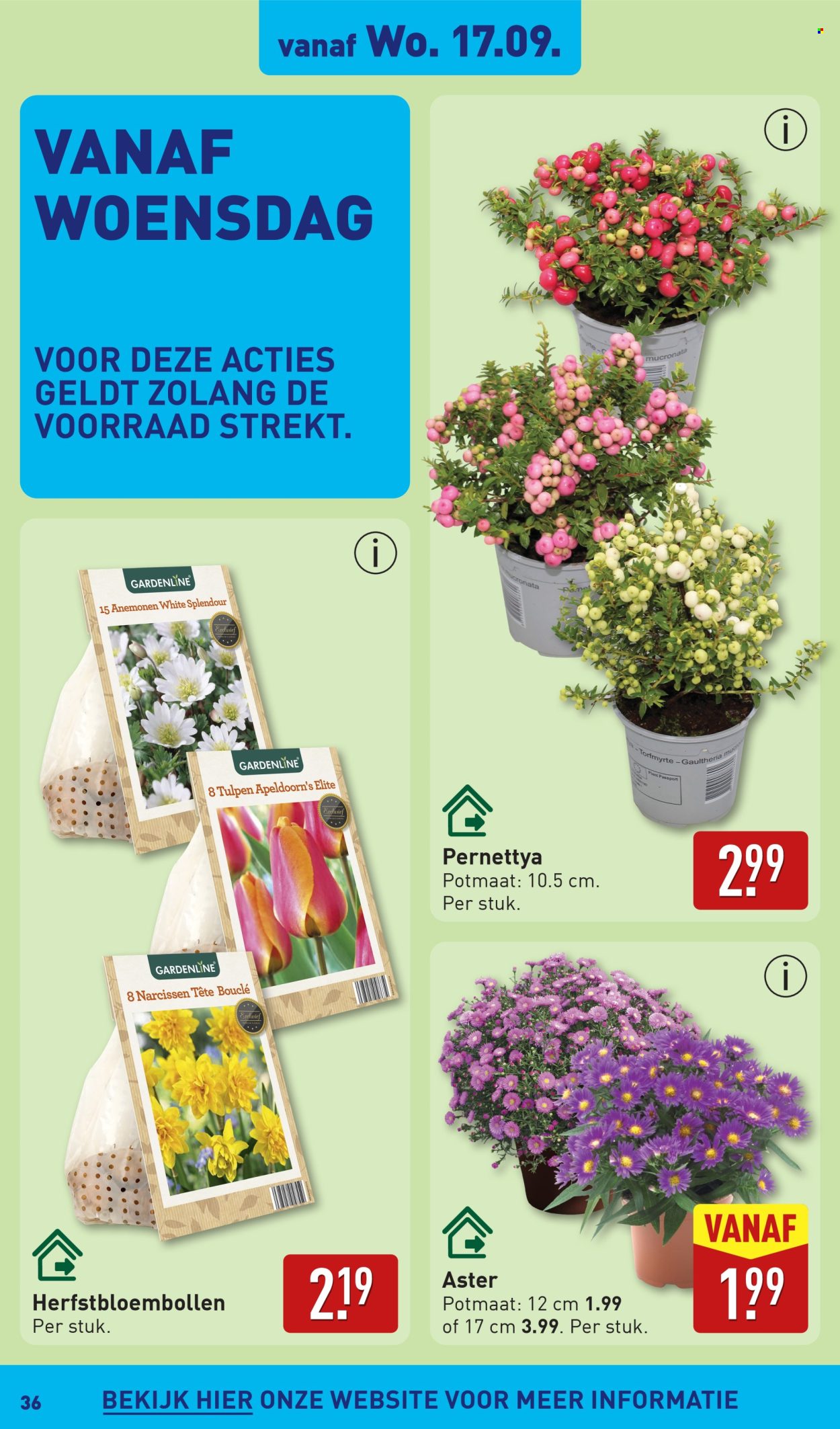 Aldi-aanbieding - 15-9-2025 - 21-9-2025. Pagina 36