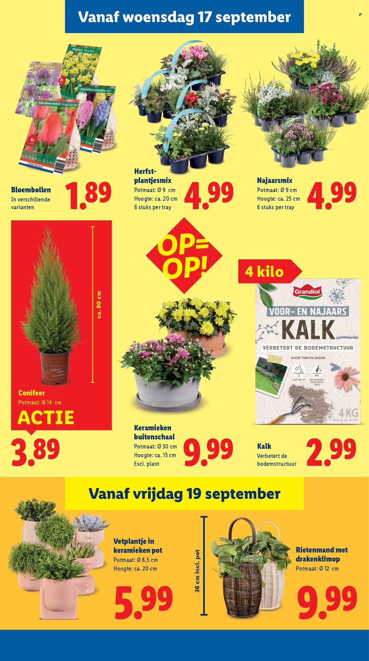 Lidl-aanbieding - 15-9-2025 - 21-9-2025. Pagina 31