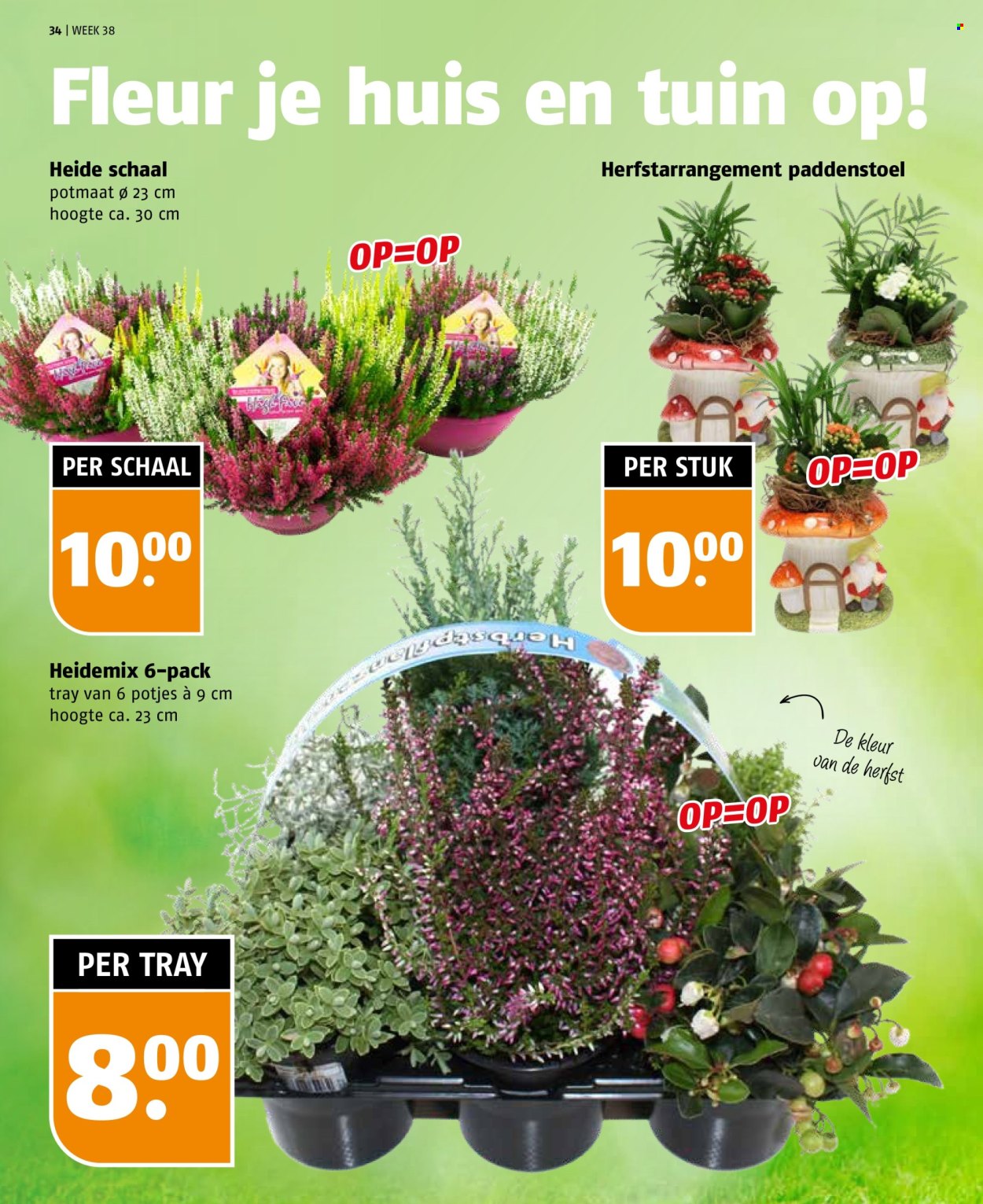 Poiesz-aanbieding - 14-9-2025 - 20-9-2025. Pagina 34