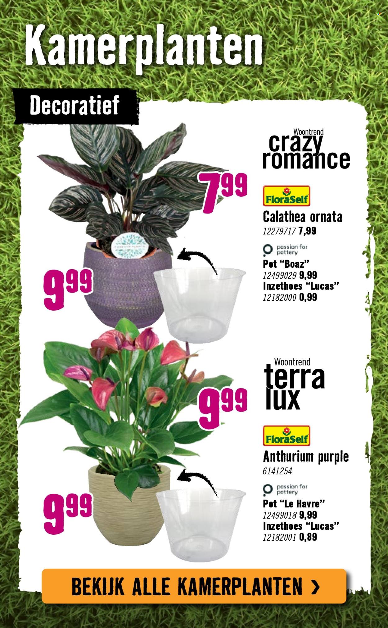 Hornbach-aanbieding - 29-9-2025 - 26-10-2025. Pagina 80