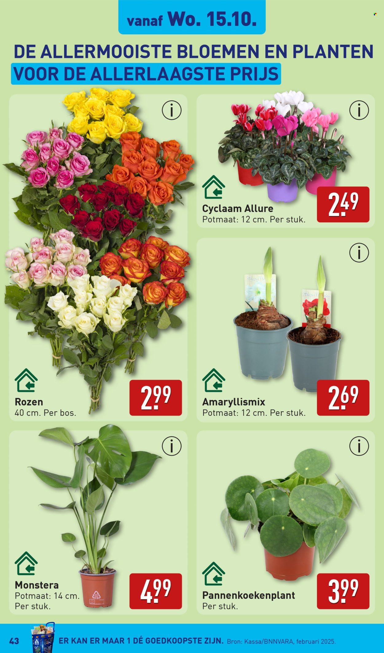 Aldi-aanbieding - 13-10-2025 - 19-10-2025. Pagina 43
