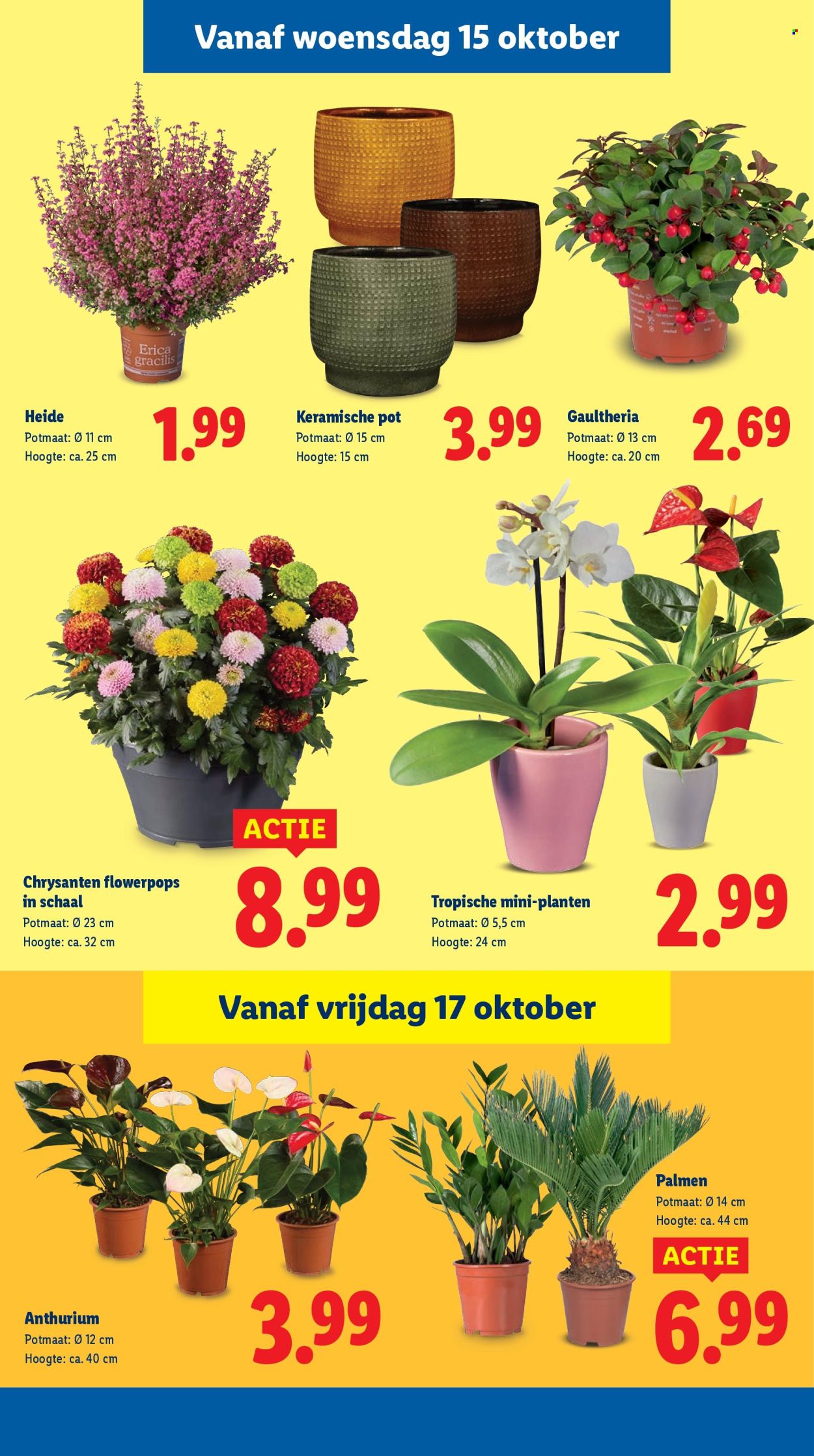 Lidl-aanbieding - 13-10-2025 - 19-10-2025. Pagina 29
