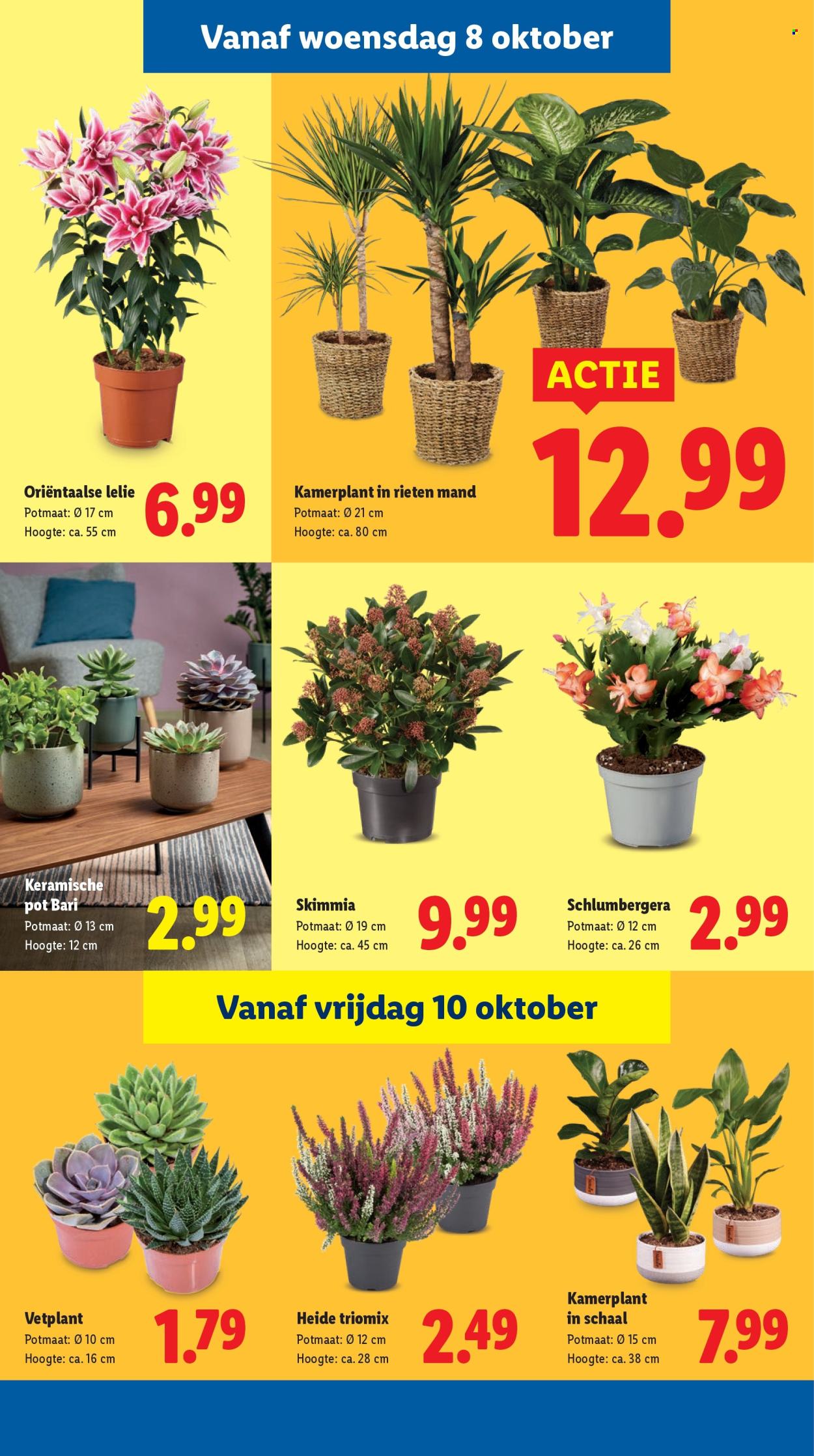 Lidl-aanbieding - 6-10-2025 - 12-10-2025. Pagina 32