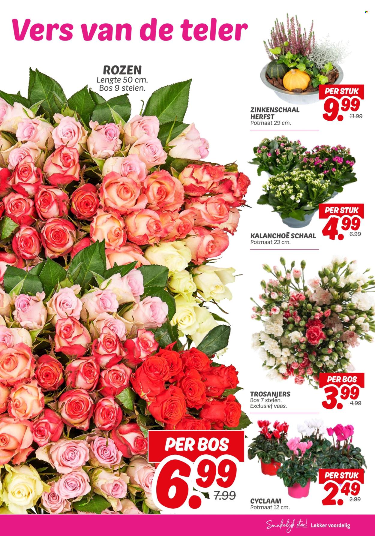 DekaMarkt-aanbieding - 14-10-2025 - 20-10-2025. Pagina 19