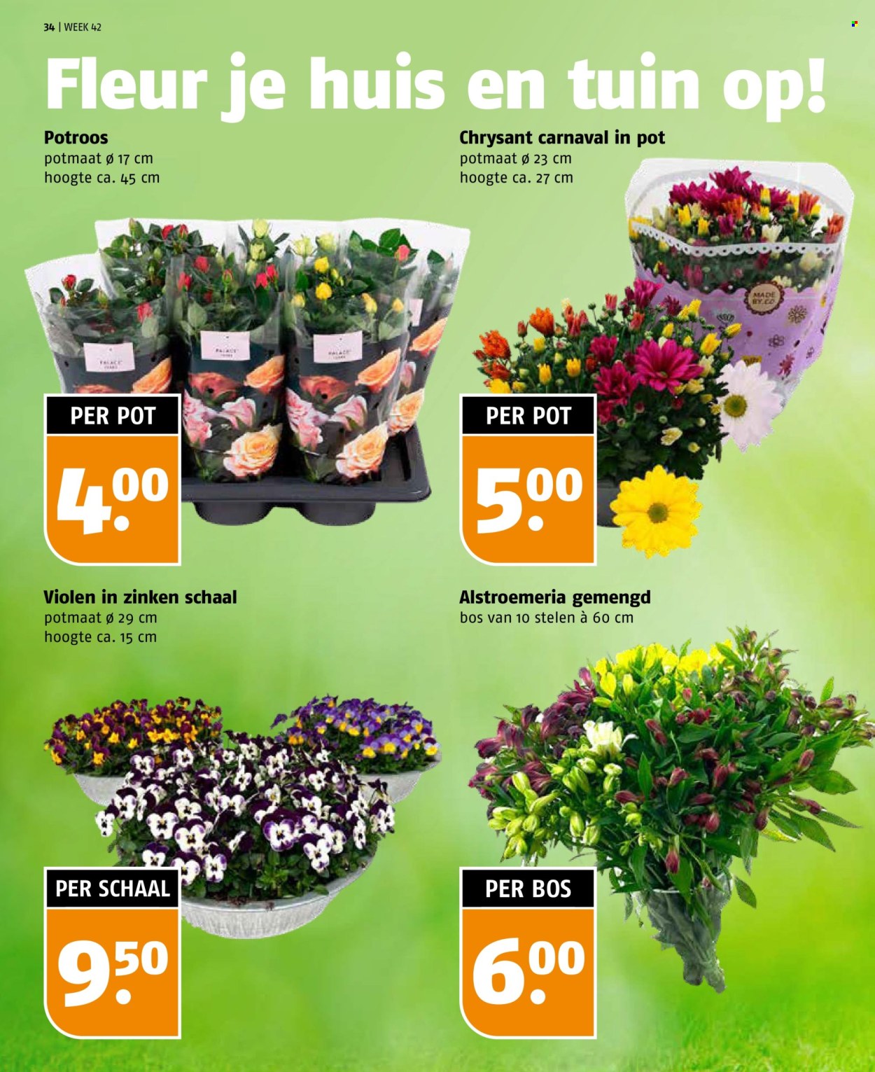 Poiesz-aanbieding - 12-10-2025 - 18-10-2025. Pagina 34