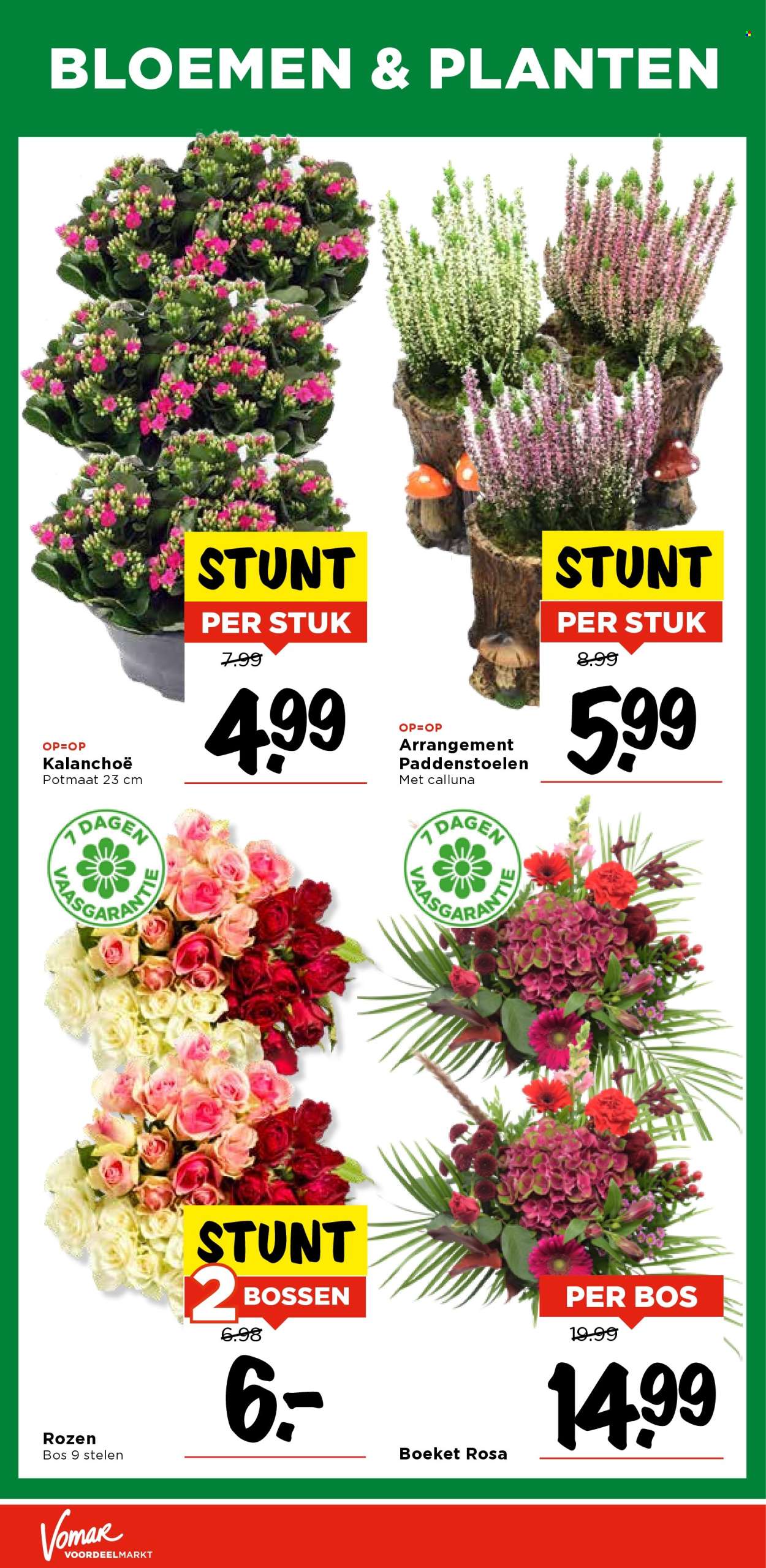 Vomar-aanbieding - 19-10-2025 - 25-10-2025. Pagina 37