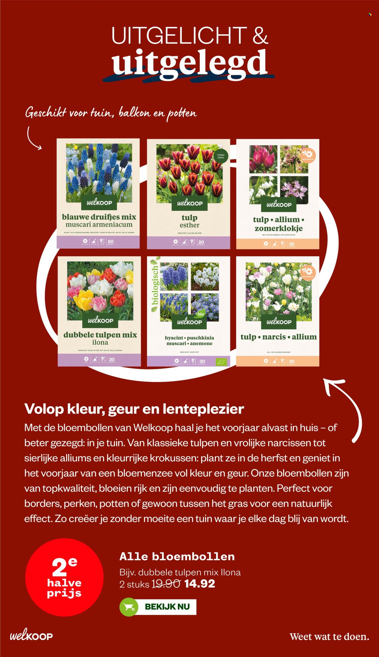 Welkoop-aanbieding - 20-10-2025 - 9-11-2025. Pagina 16