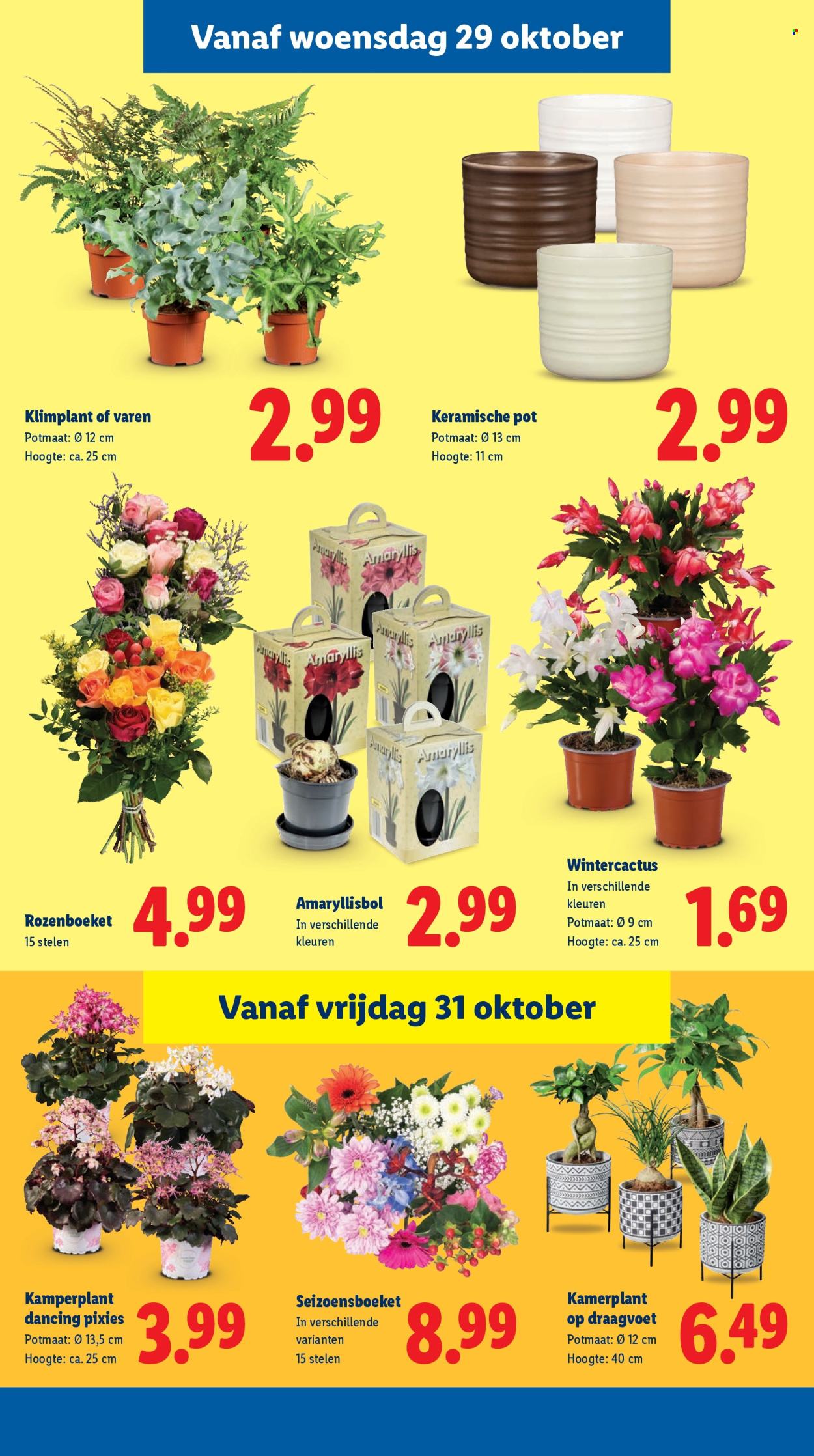 Lidl-aanbieding - 27-10-2025 - 2-11-2025. Pagina 21