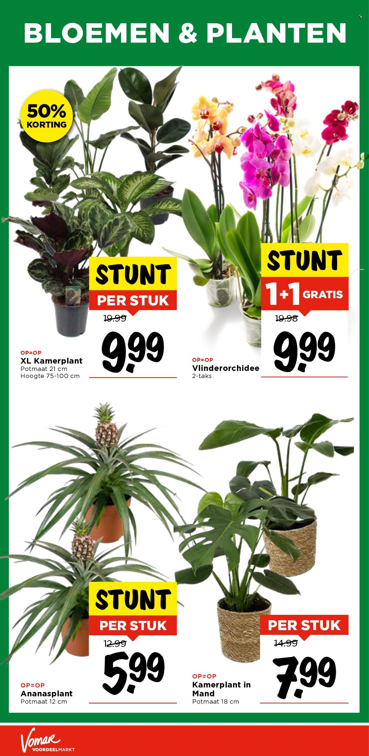 Vomar-aanbieding - 26-10-2025 - 1-11-2025. Pagina 29