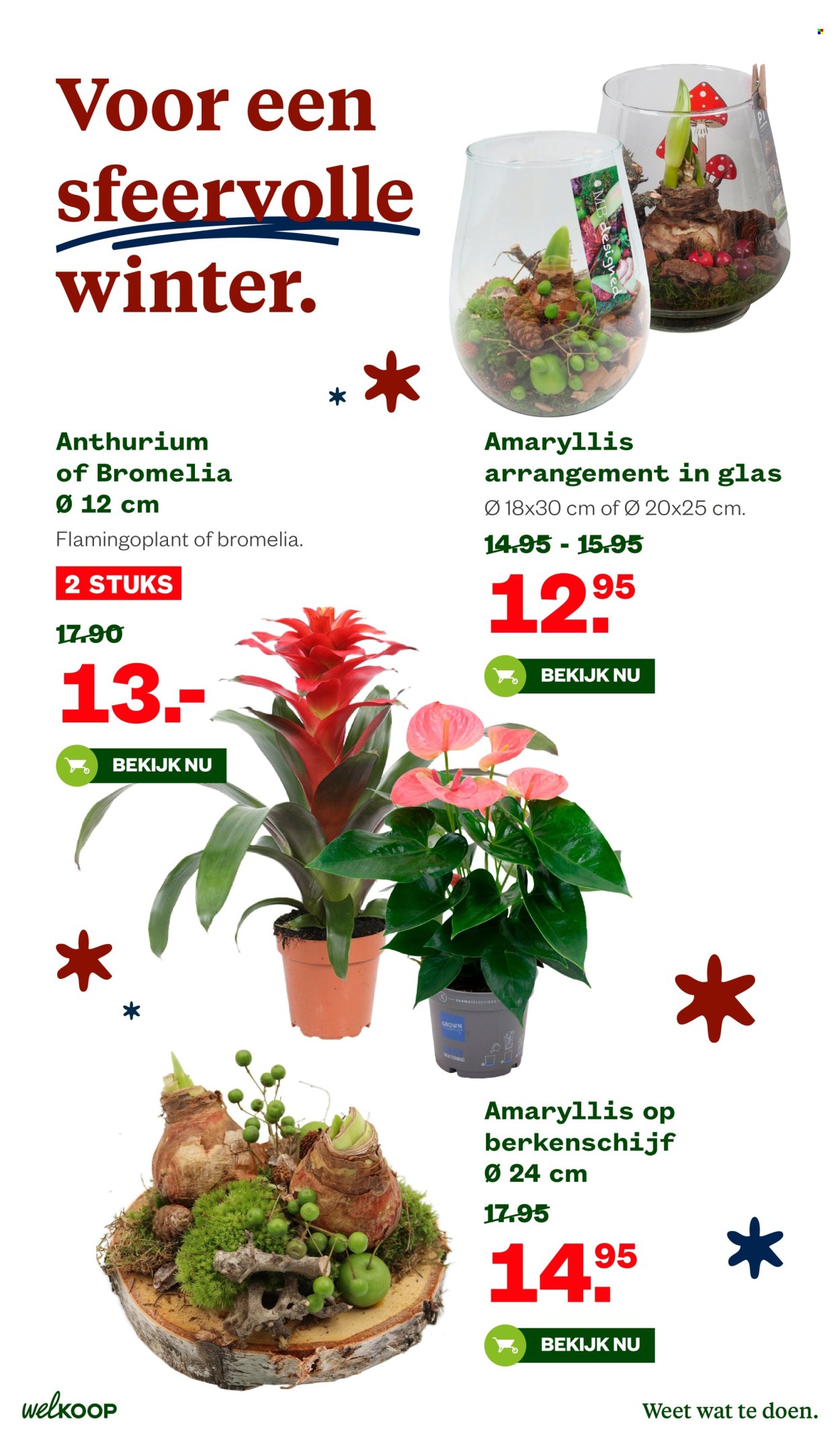 Welkoop-aanbieding - 20-10-2025 - 9-11-2025. Pagina 14