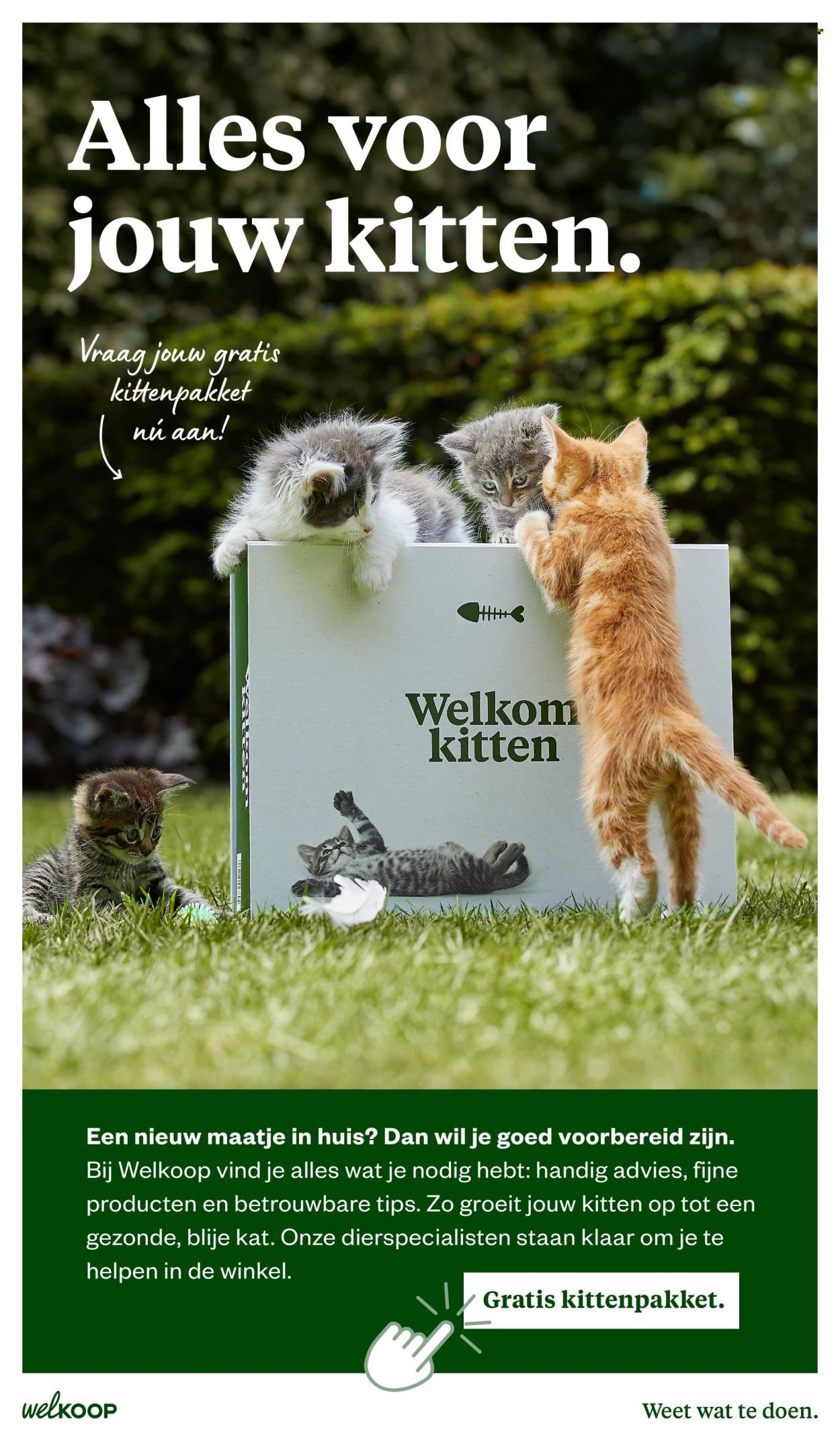 Welkoop-aanbieding - 20-10-2025 - 9-11-2025. Pagina 24
