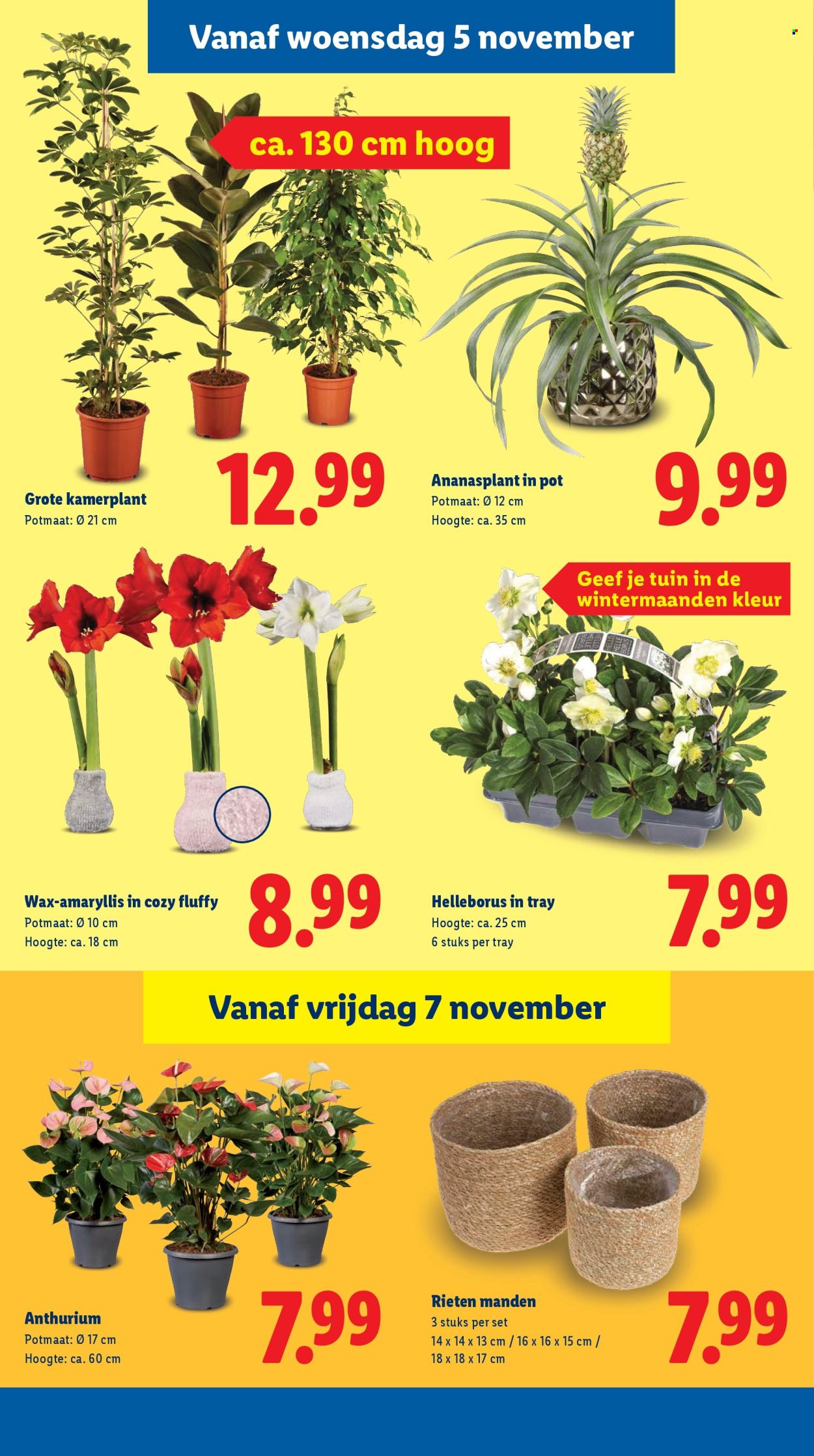 Lidl-aanbieding - 3-11-2025 - 9-11-2025. Pagina 21
