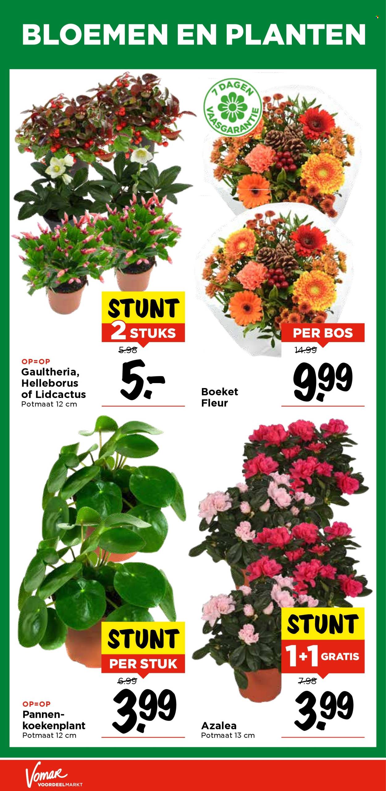 Vomar-aanbieding - 9-11-2025 - 15-11-2025. Pagina 32