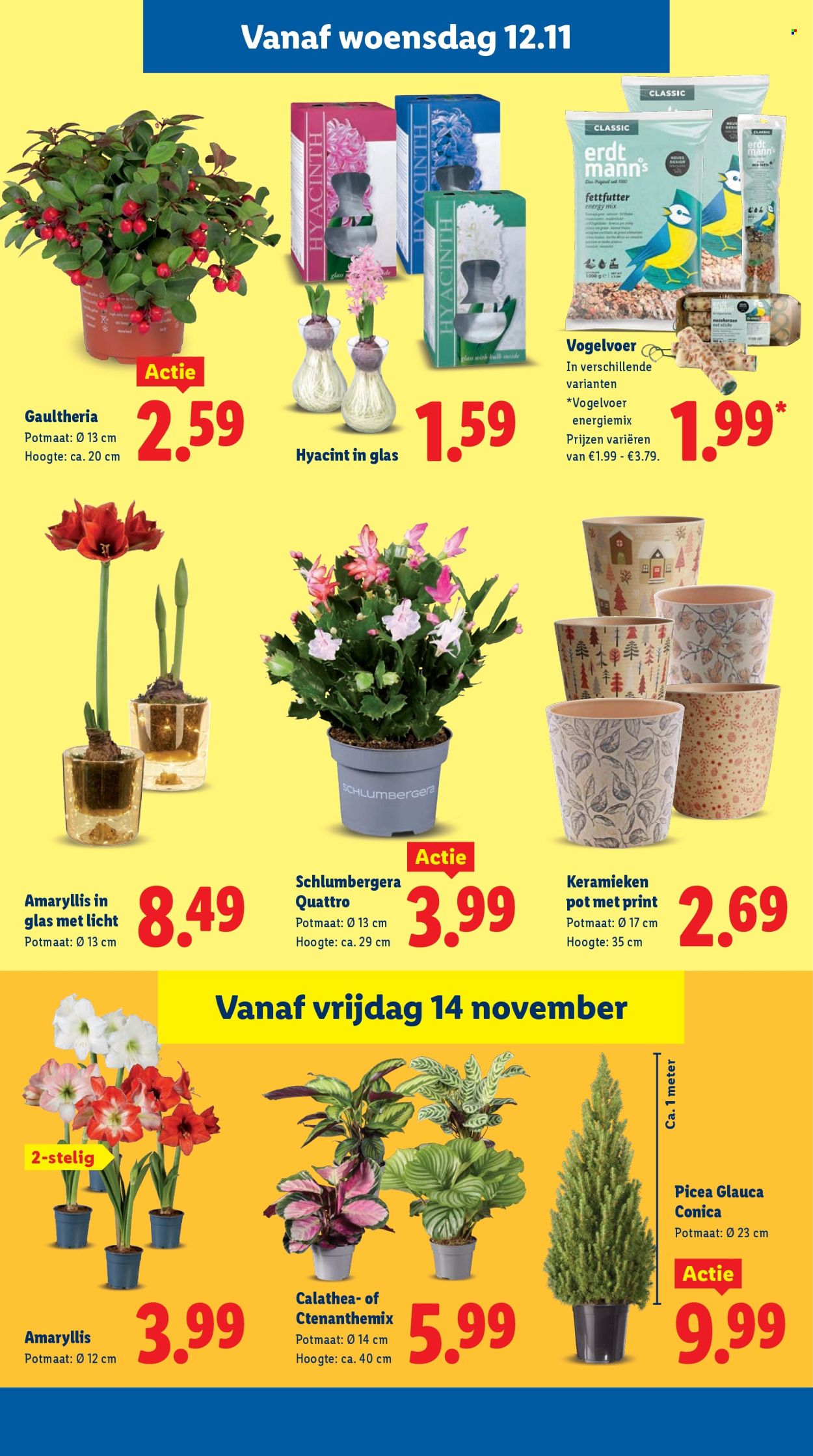 Lidl-aanbieding - 10-11-2025 - 16-11-2025. Pagina 20