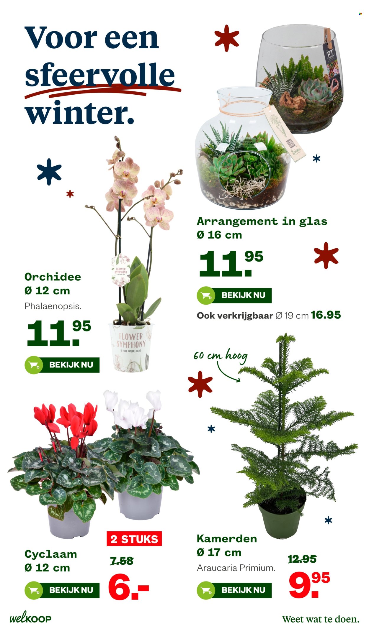 Welkoop-aanbieding - 10-11-2025 - 23-11-2025. Pagina 13