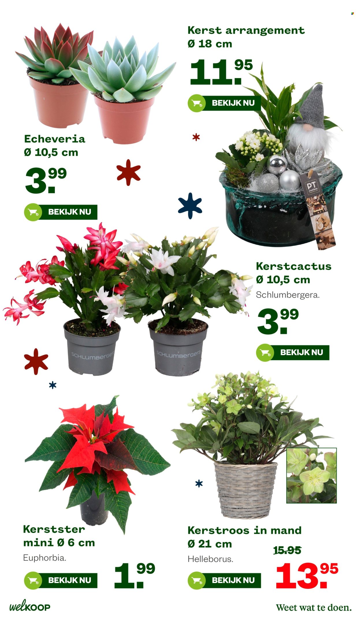 Welkoop-aanbieding - 10-11-2025 - 23-11-2025. Pagina 14