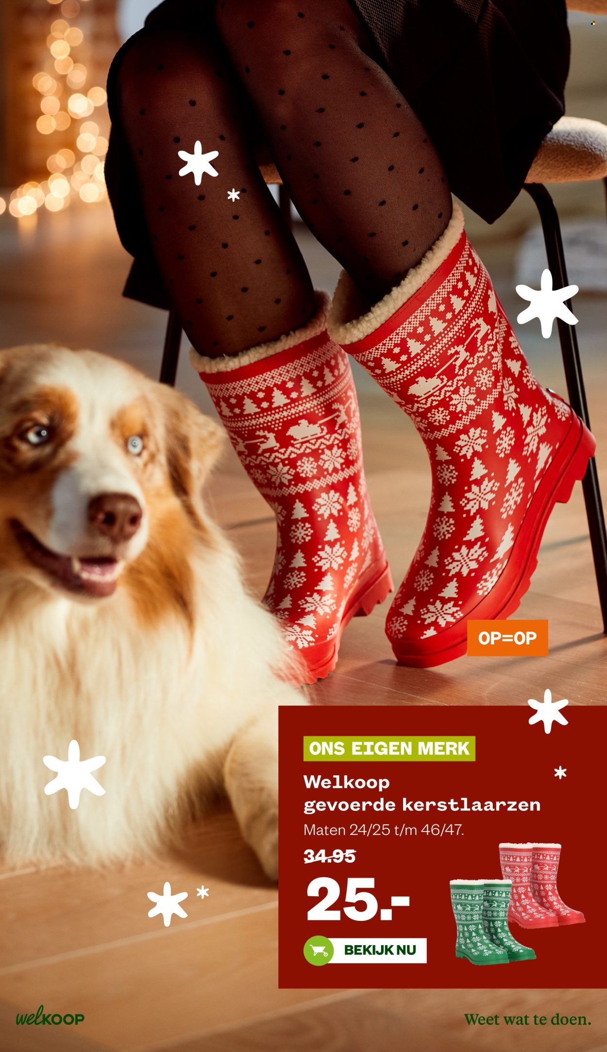 Welkoop-aanbieding - 10-11-2025 - 23-11-2025. Pagina 32