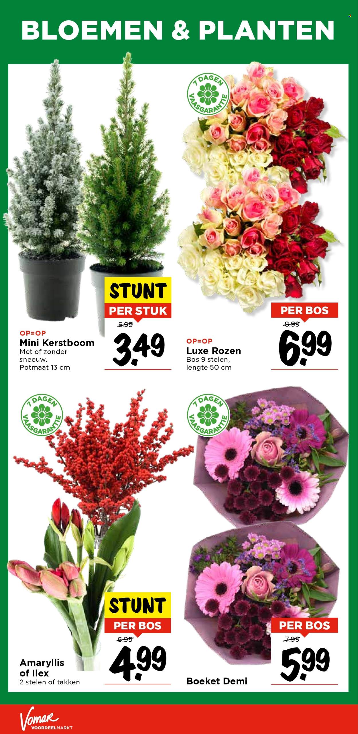 Vomar-aanbieding - 20-11-2025 - 22-11-2025. Pagina 36