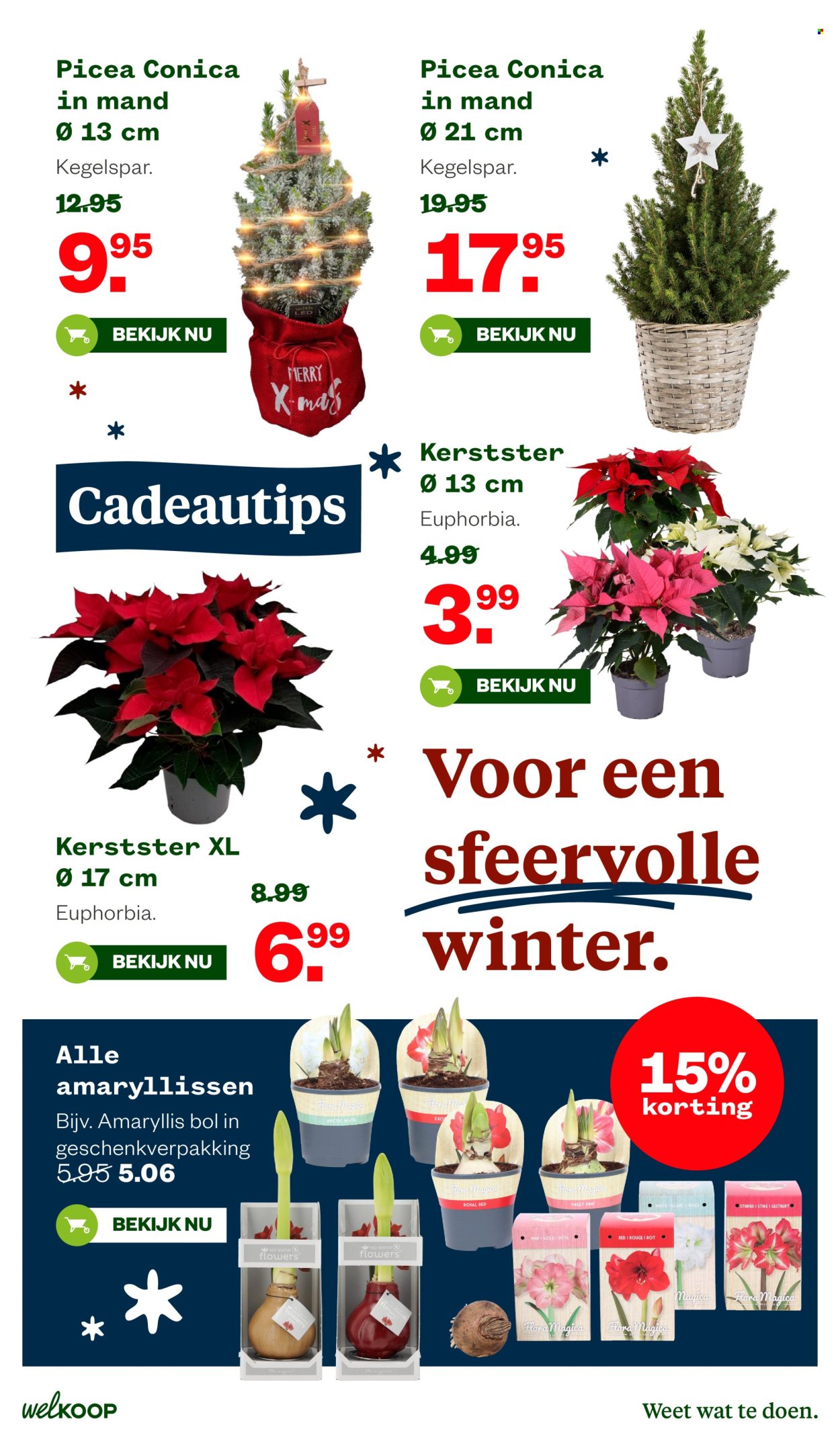 Welkoop-aanbieding - 24-11-2025 - 7-12-2025. Pagina 26