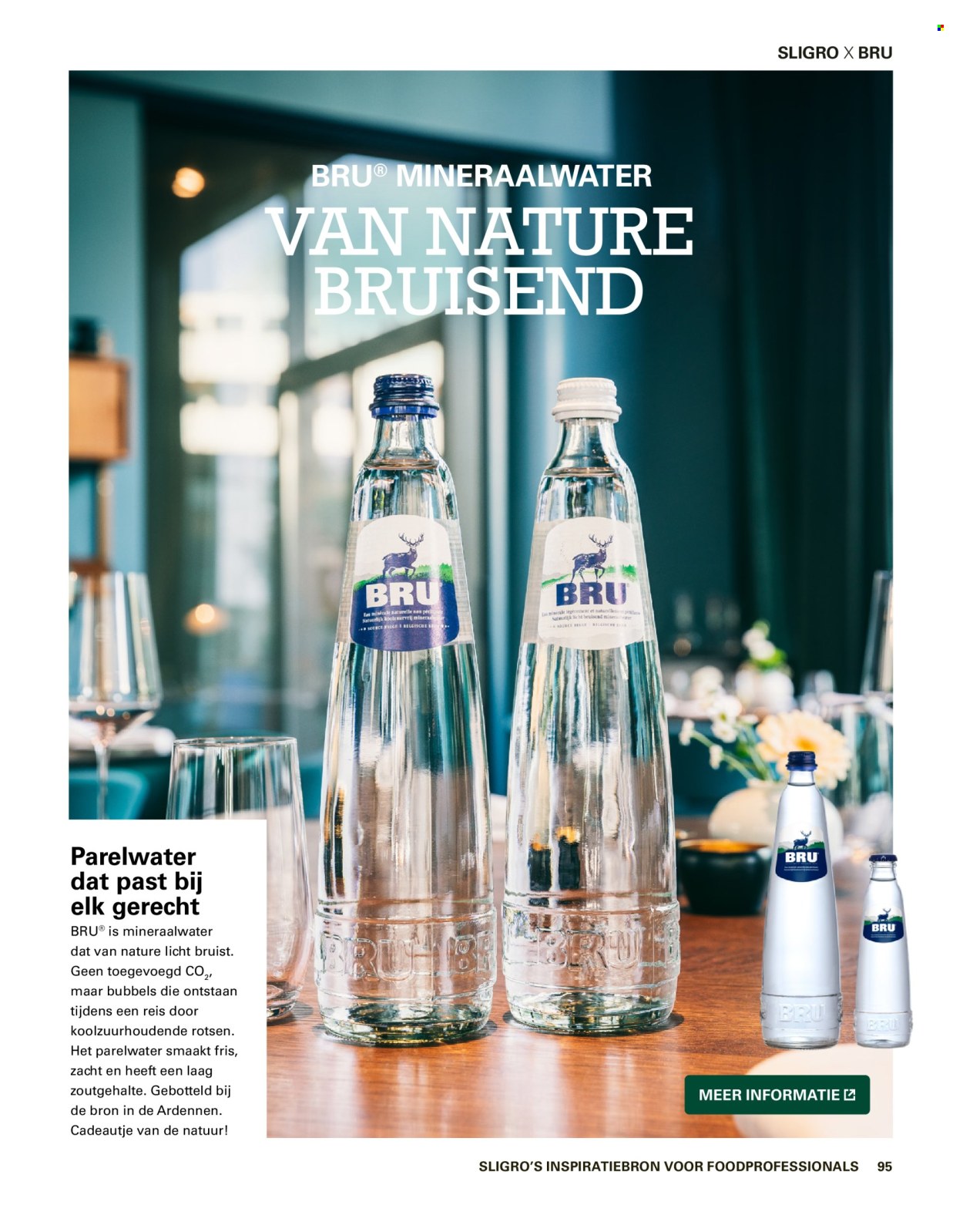 Sligro-aanbieding. Pagina 95