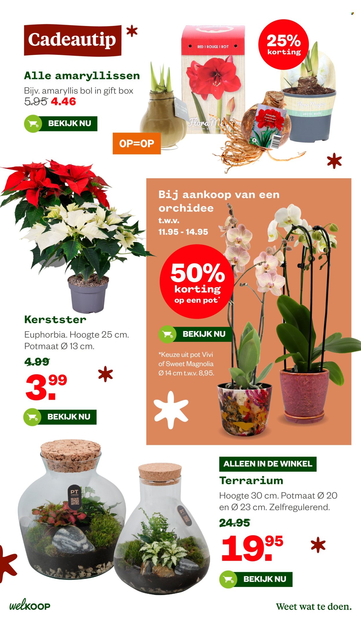 Welkoop-aanbieding - 8-12-2025 - 28-12-2025. Pagina 8