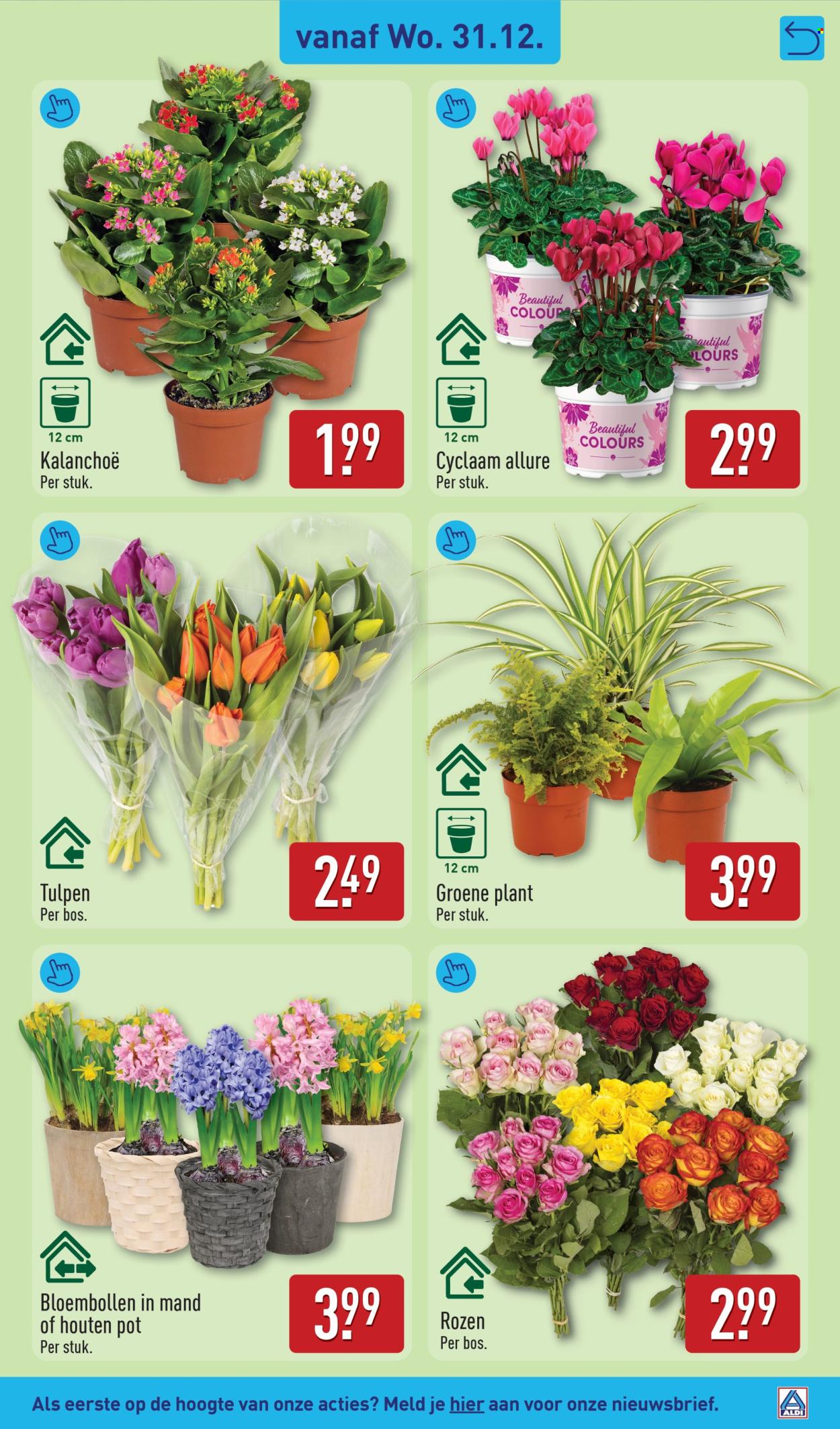 Aldi-aanbieding - 29-12-2025 - 4-1-2026. Pagina 25