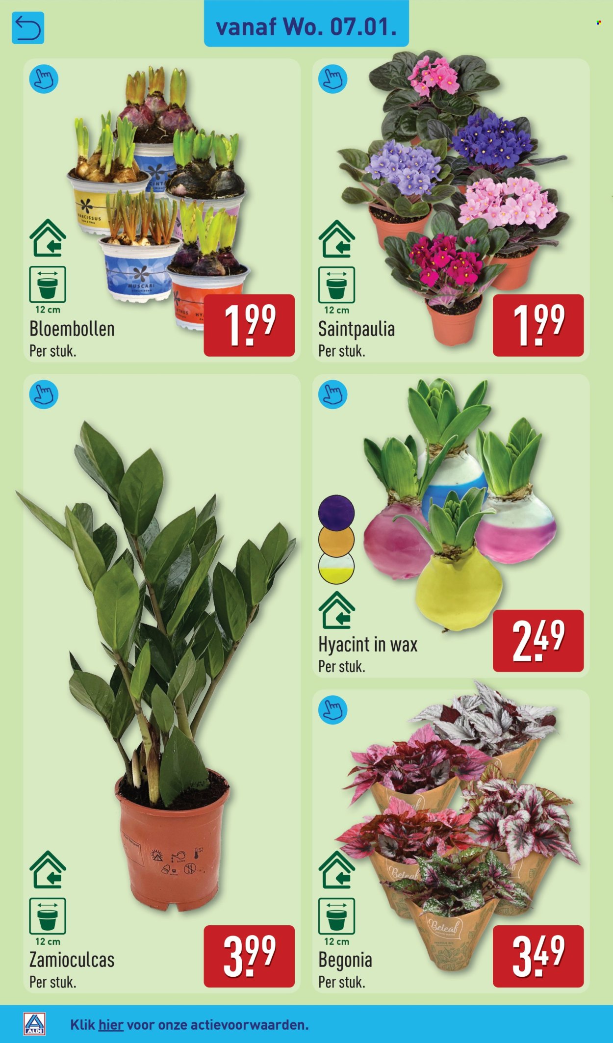 Aldi-aanbieding - 5-1-2026 - 11-1-2026. Pagina 32