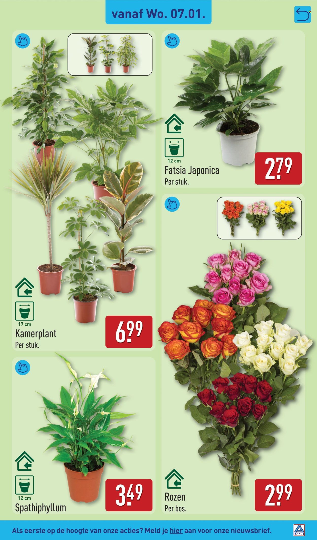 Aldi-aanbieding - 5-1-2026 - 11-1-2026. Pagina 33