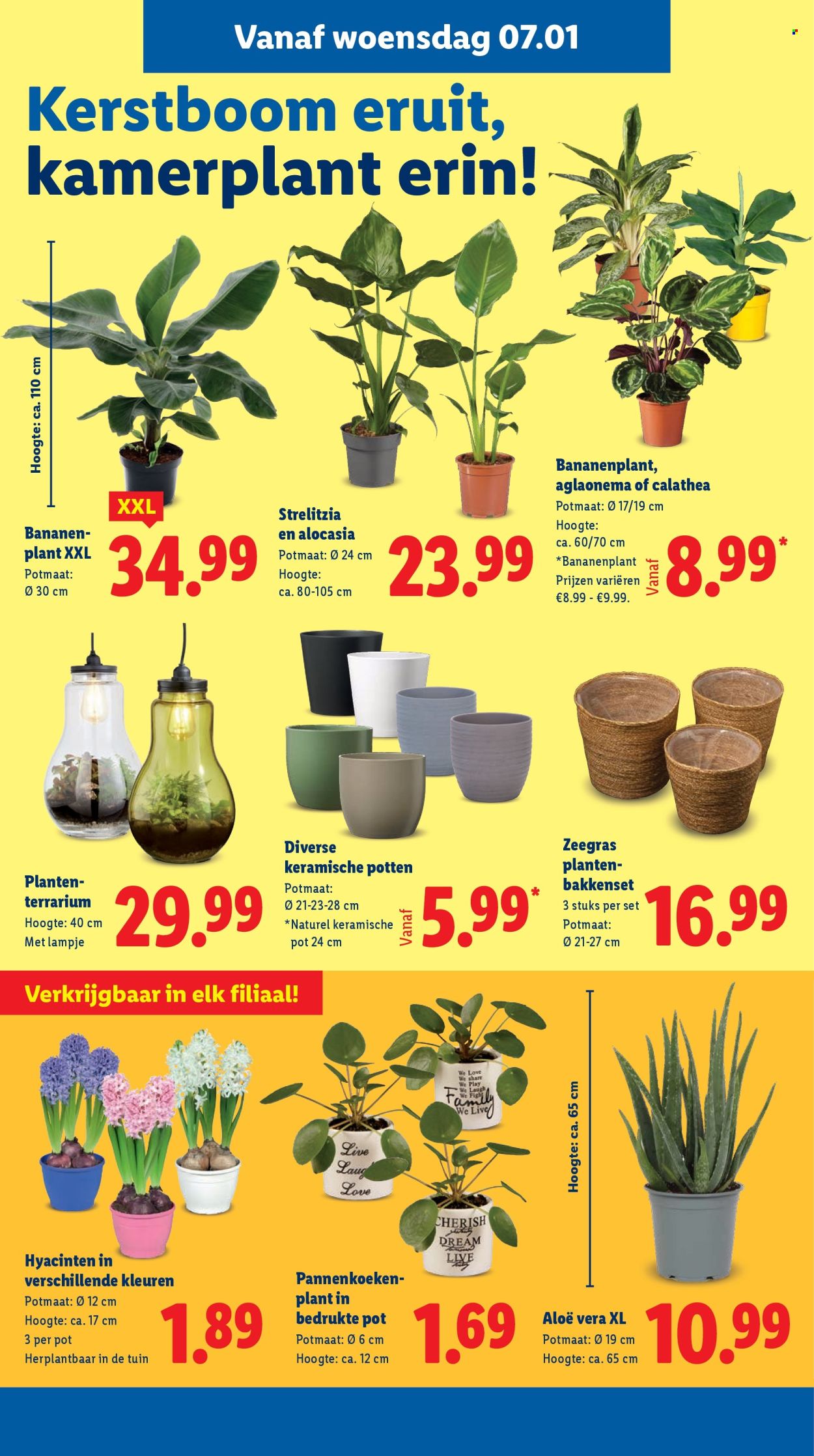 Lidl-aanbieding - 5-1-2026 - 11-1-2026. Pagina 16