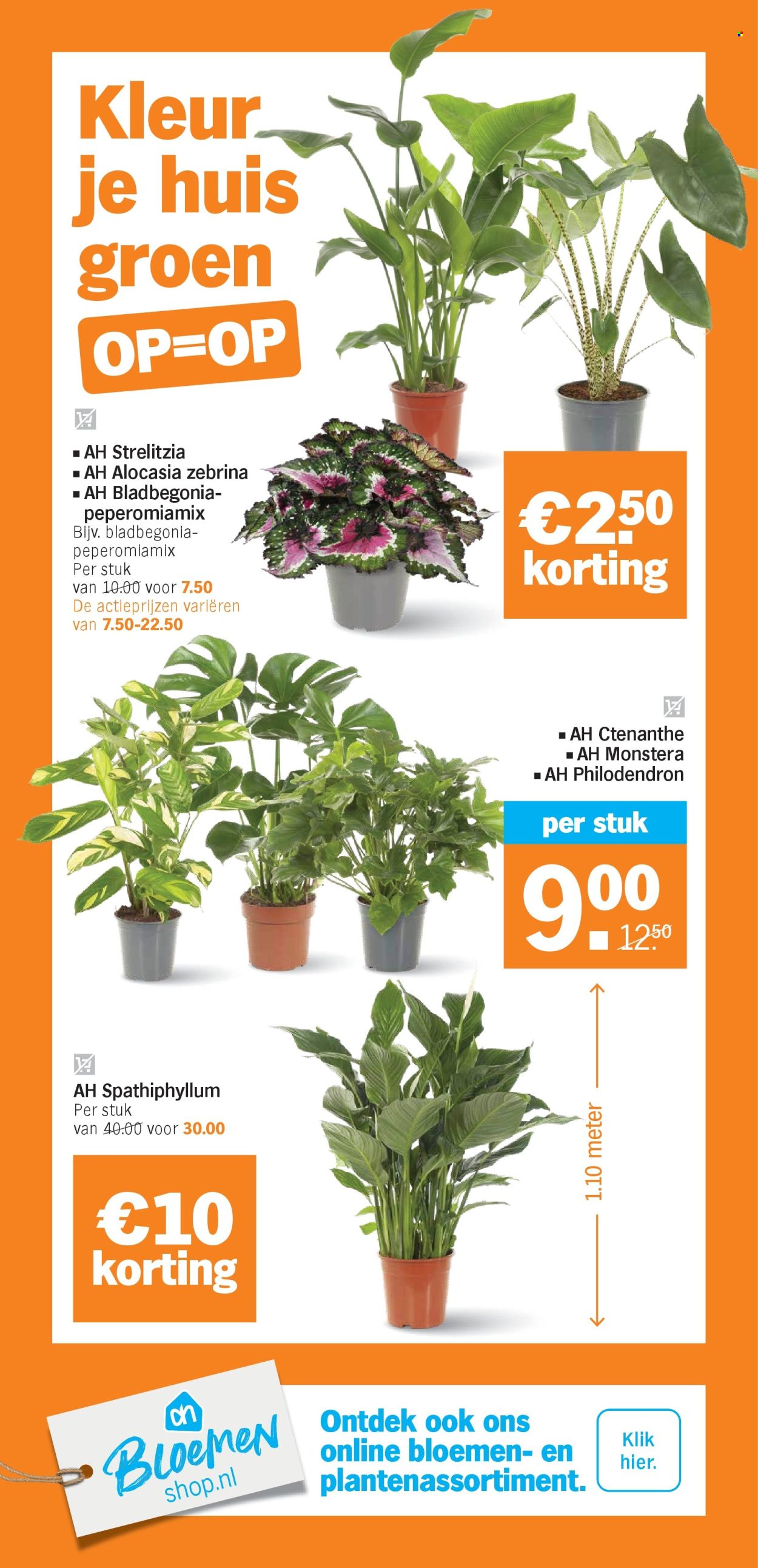 Albert Heijn-aanbieding - 5-1-2026 - 11-1-2026. Pagina 37