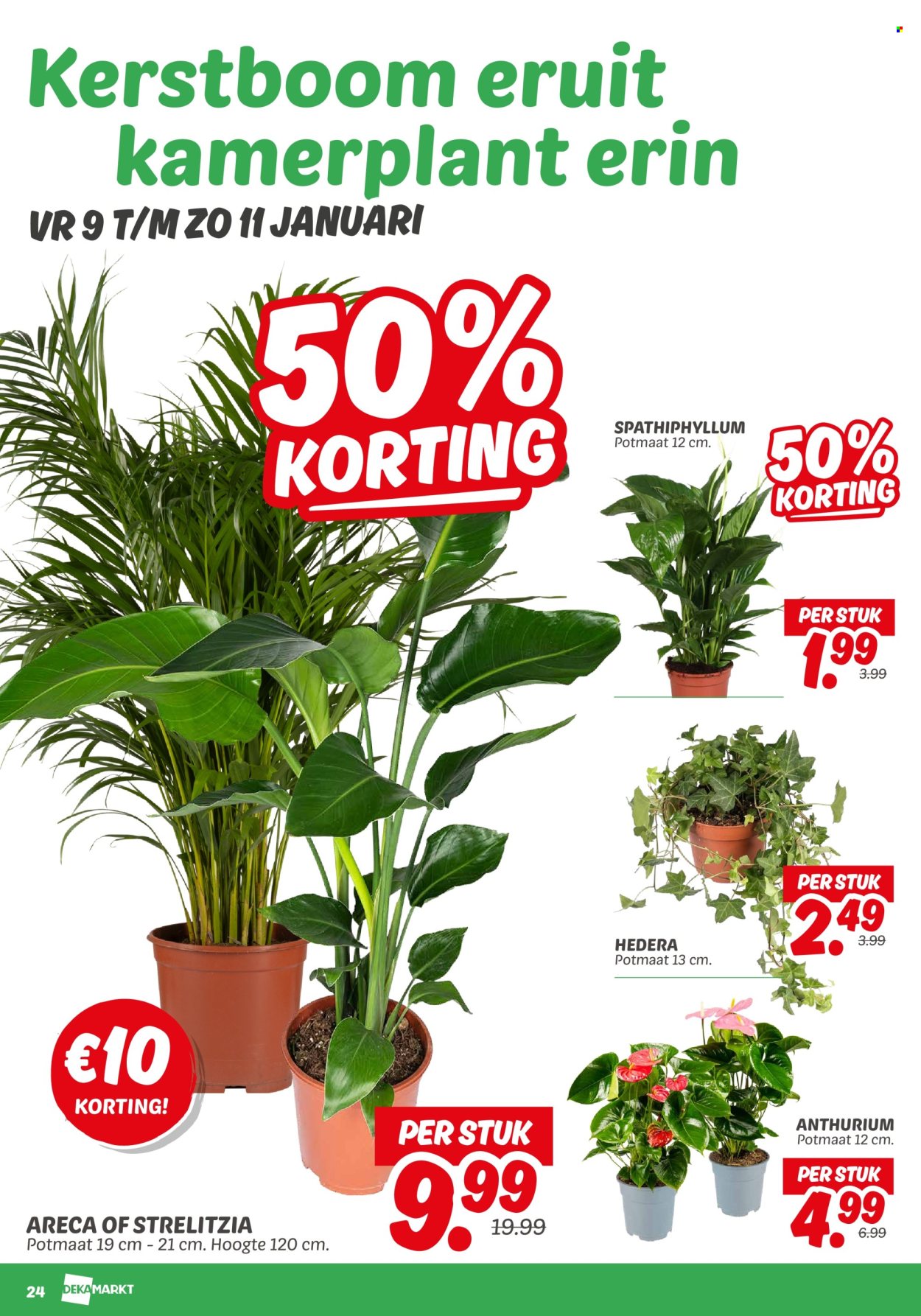 DekaMarkt-aanbieding - 6-1-2026 - 12-1-2026. Pagina 24