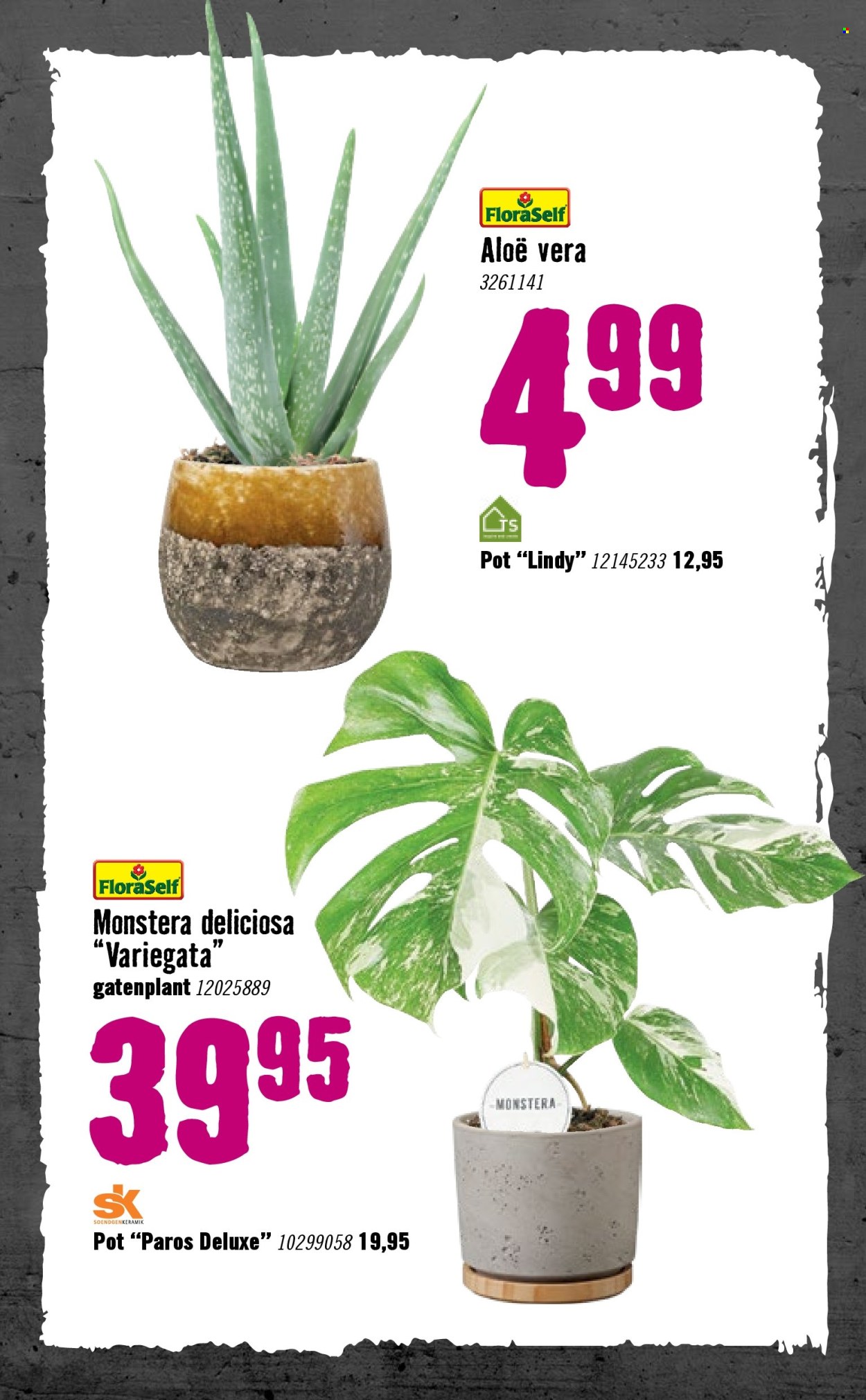 Hornbach-aanbieding - 5-1-2026 - 8-2-2026. Pagina 71