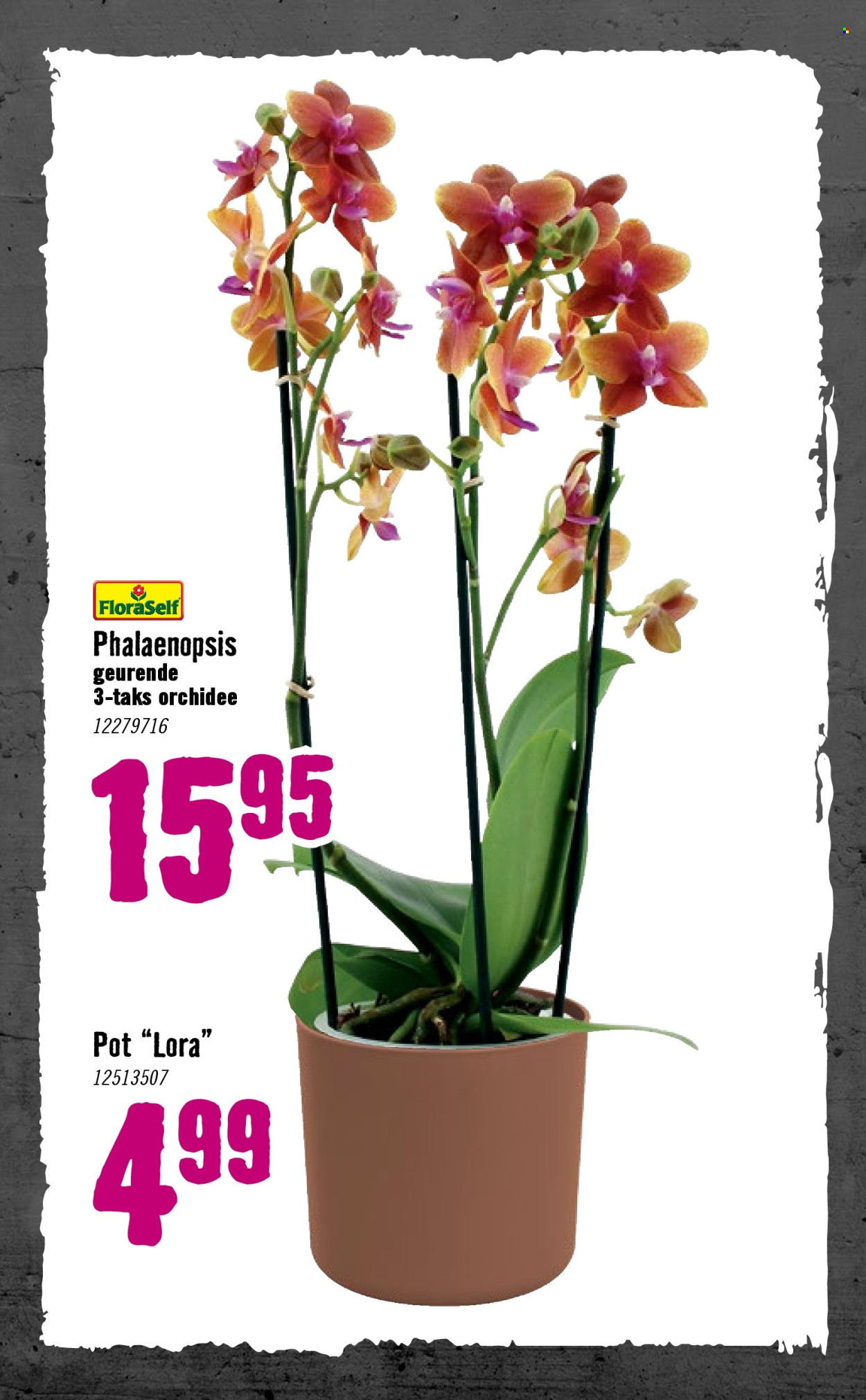 Hornbach-aanbieding - 5-1-2026 - 8-2-2026. Pagina 73