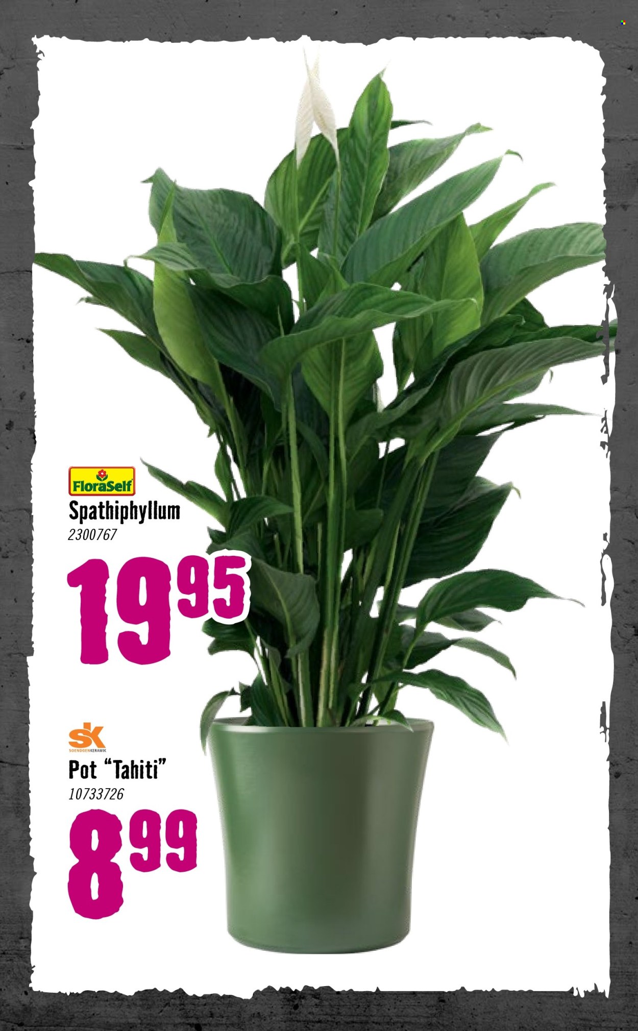 Hornbach-aanbieding - 5-1-2026 - 8-2-2026. Pagina 74