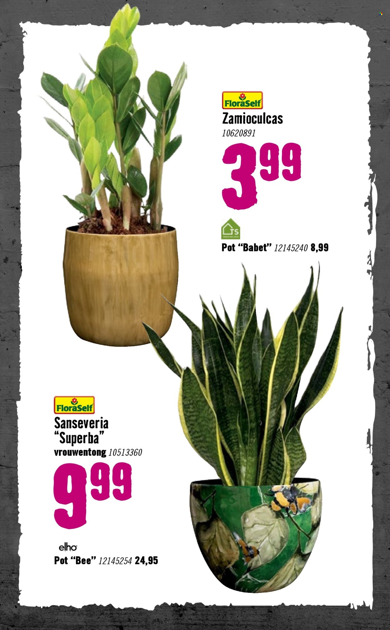 Hornbach-aanbieding - 5-1-2026 - 8-2-2026. Pagina 77