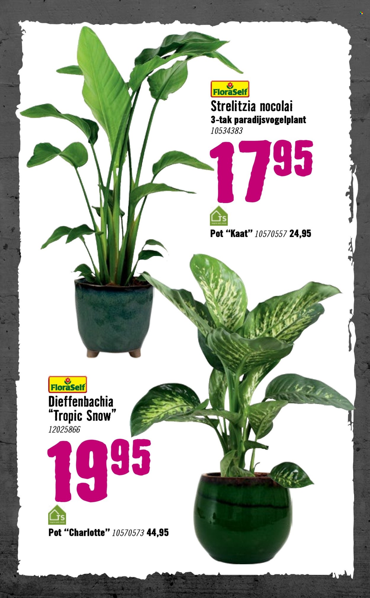 Hornbach-aanbieding - 5-1-2026 - 8-2-2026. Pagina 78