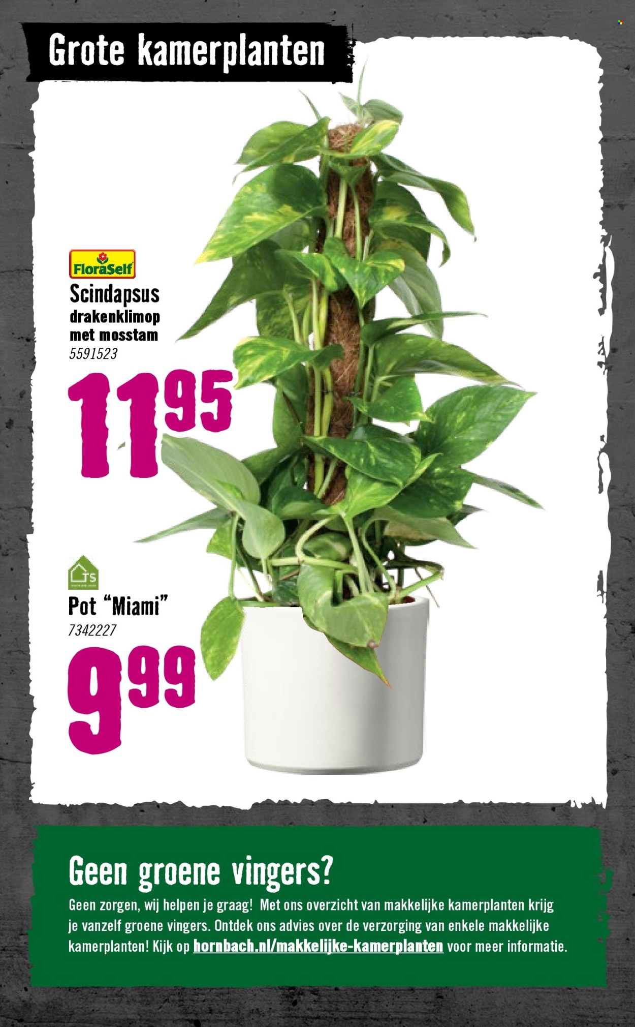 Hornbach-aanbieding - 5-1-2026 - 8-2-2026. Pagina 80