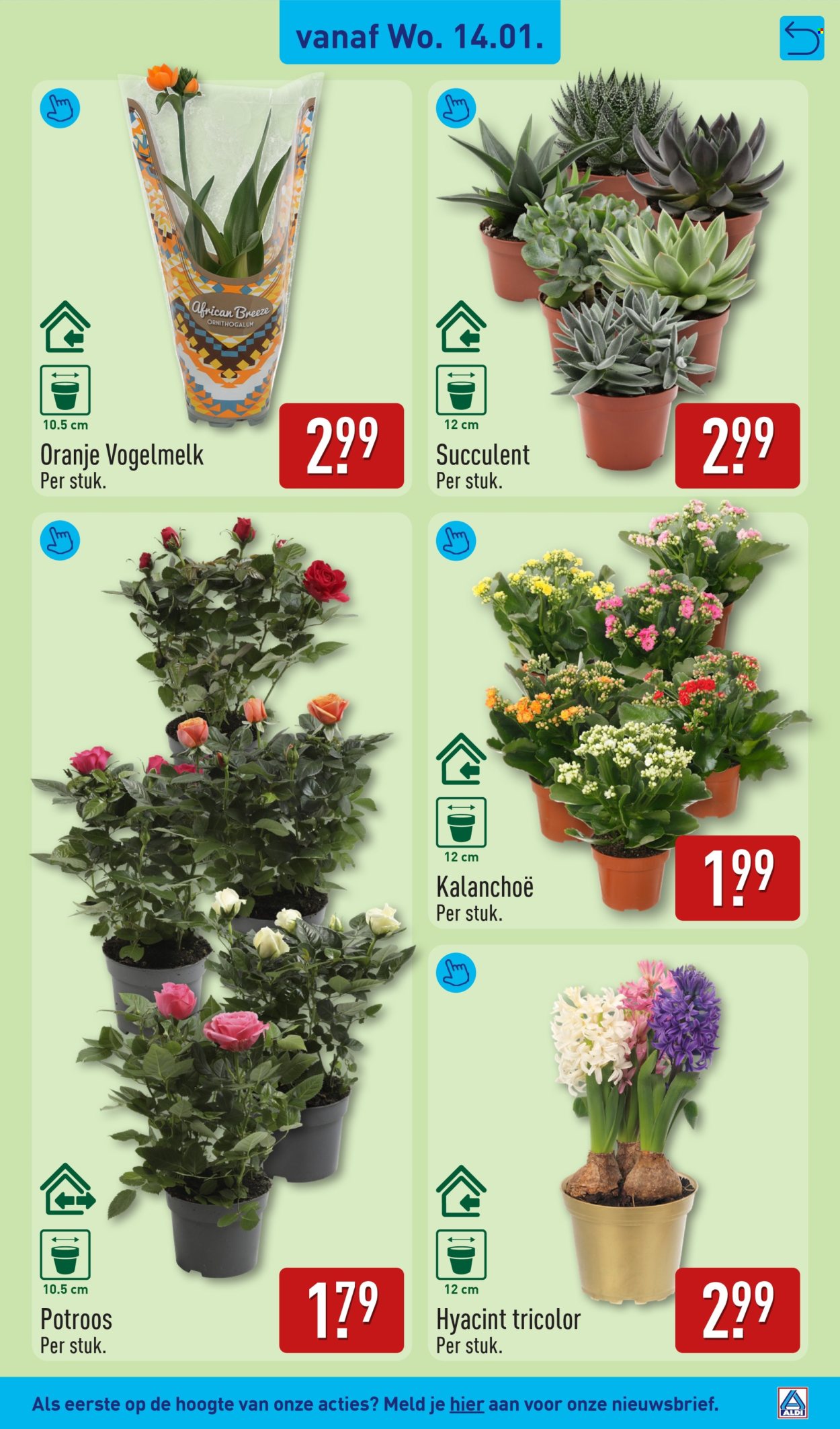 Aldi-aanbieding - 12-1-2026 - 18-1-2026. Pagina 29